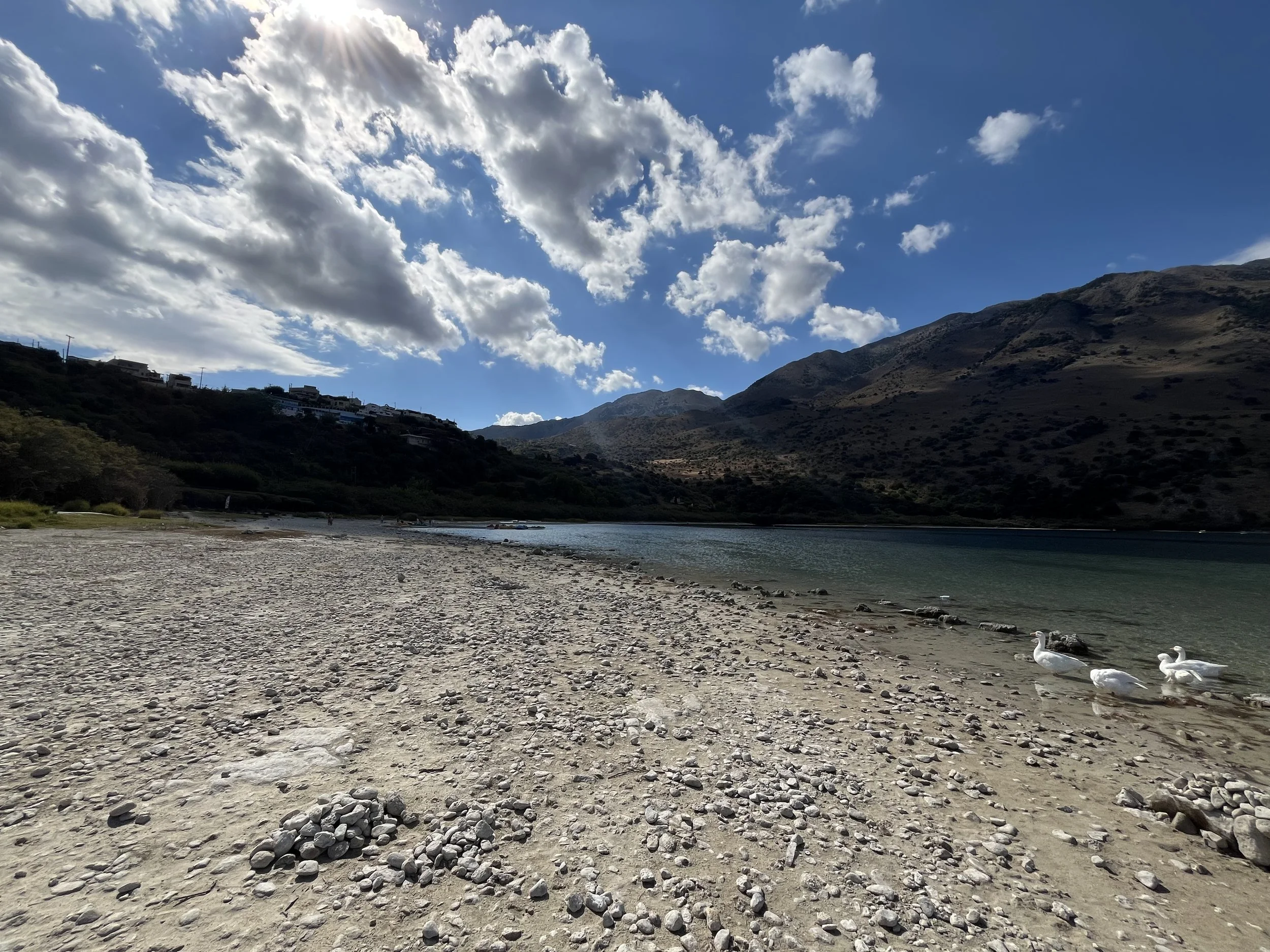IMG_1083.jpeg