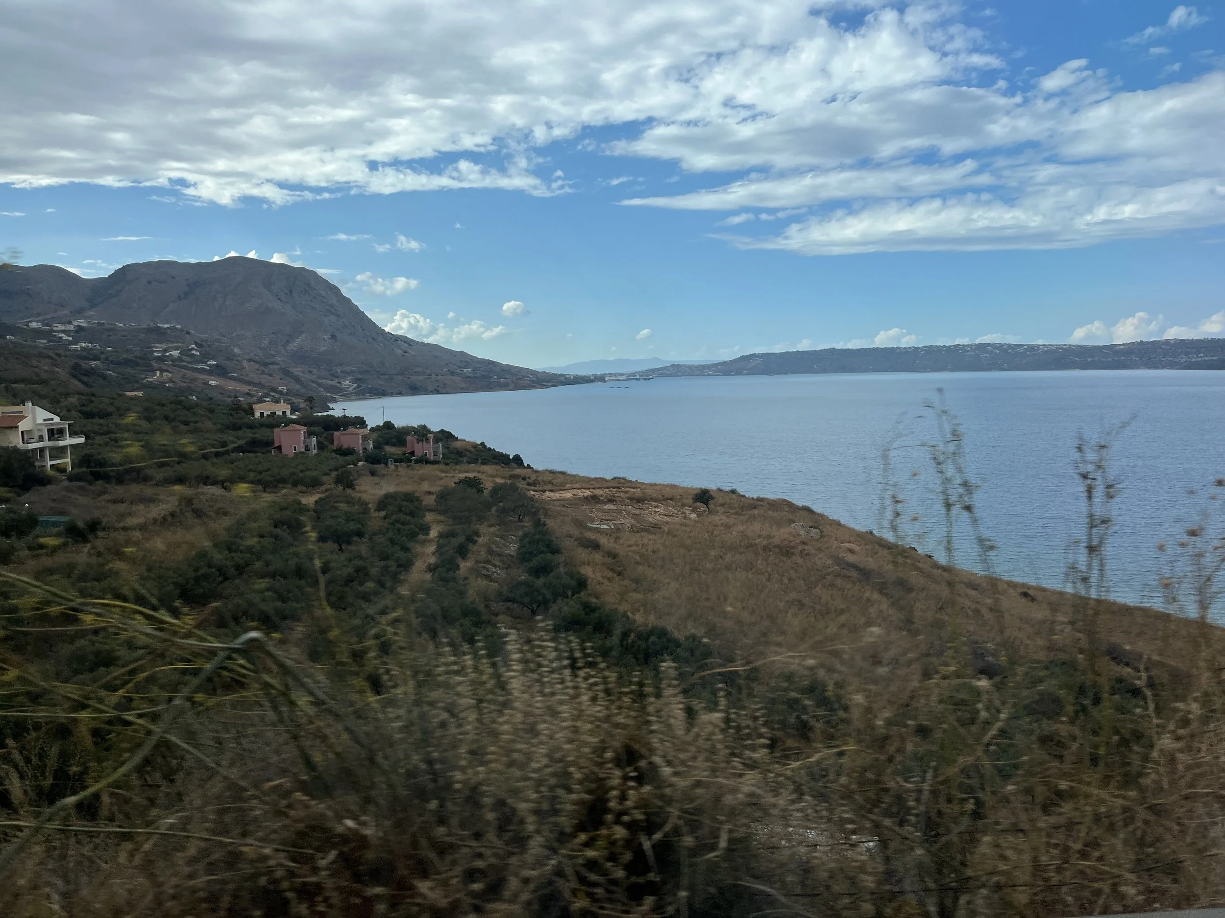 IMG_1117.jpeg