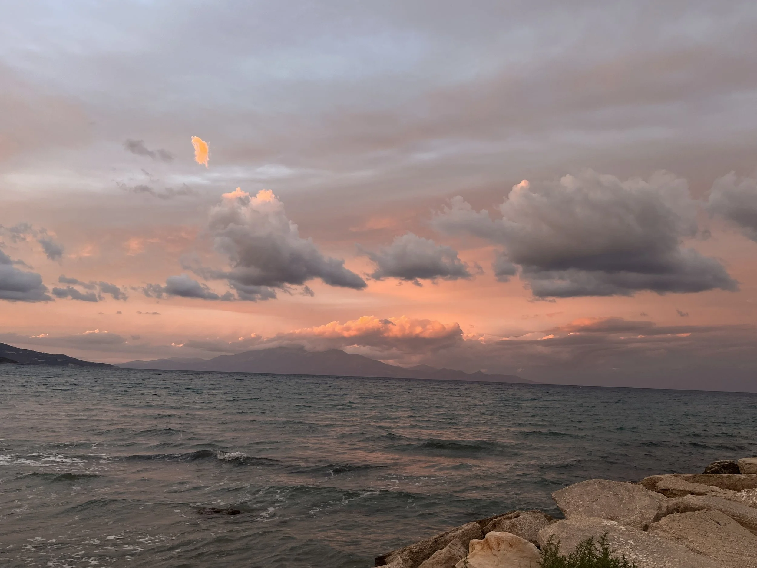 IMG_3144.jpeg