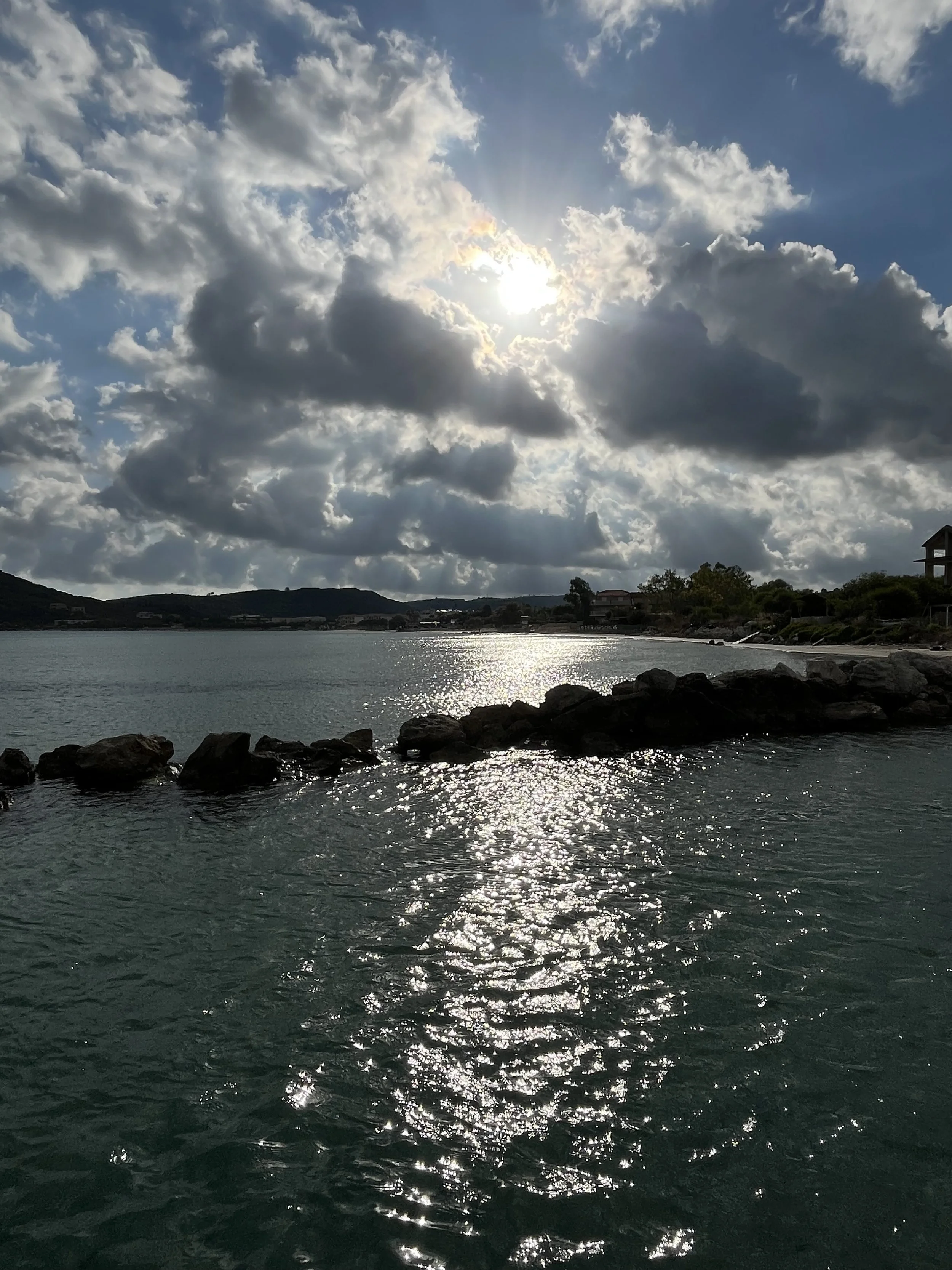 IMG_2984.jpeg