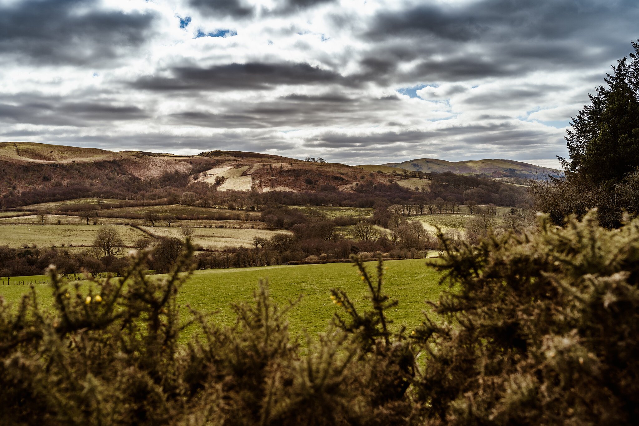 Rolling Hills of Wales.jpg
