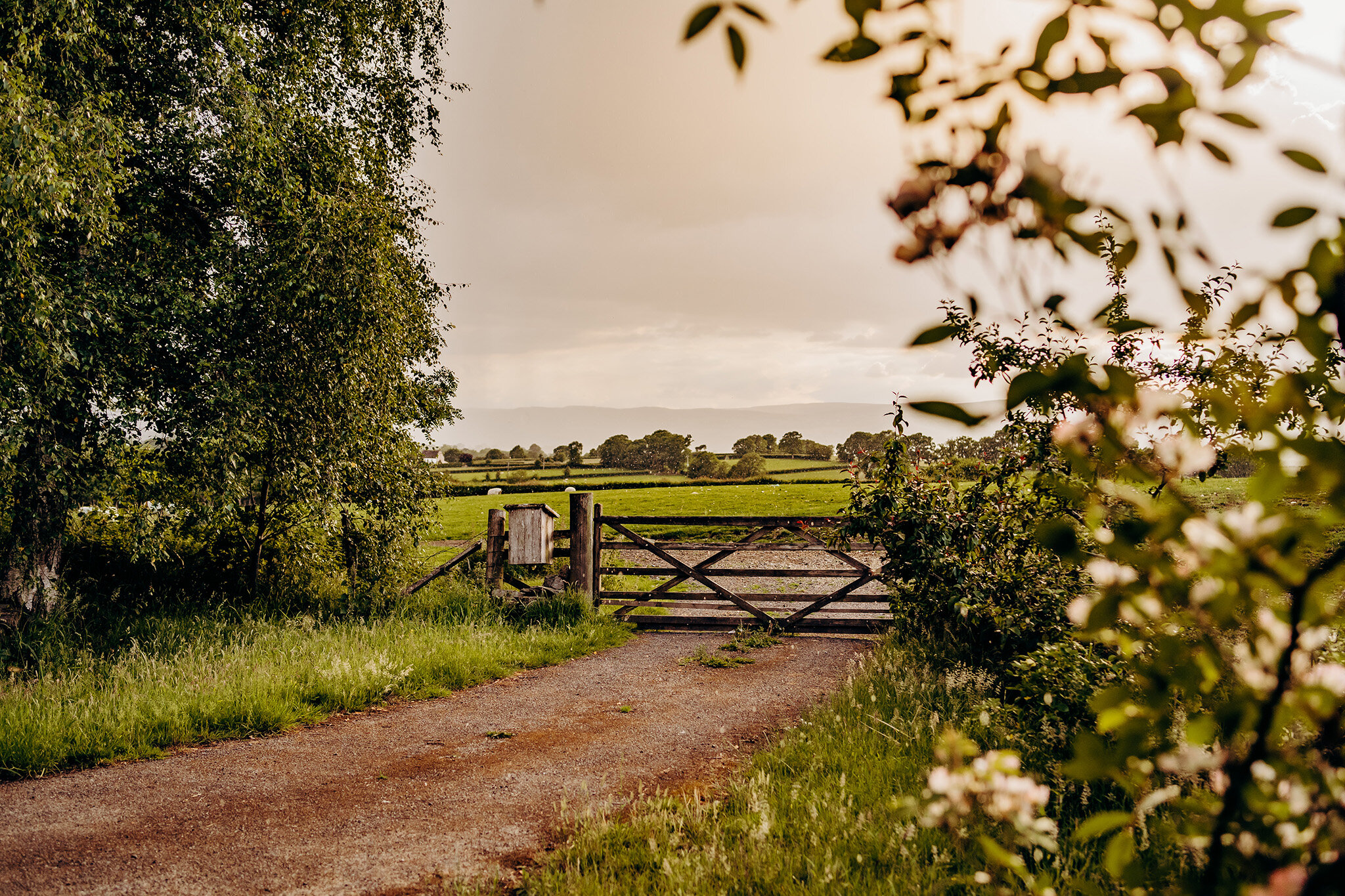 Gate with Hills - Ali Curzon Photography.jpg