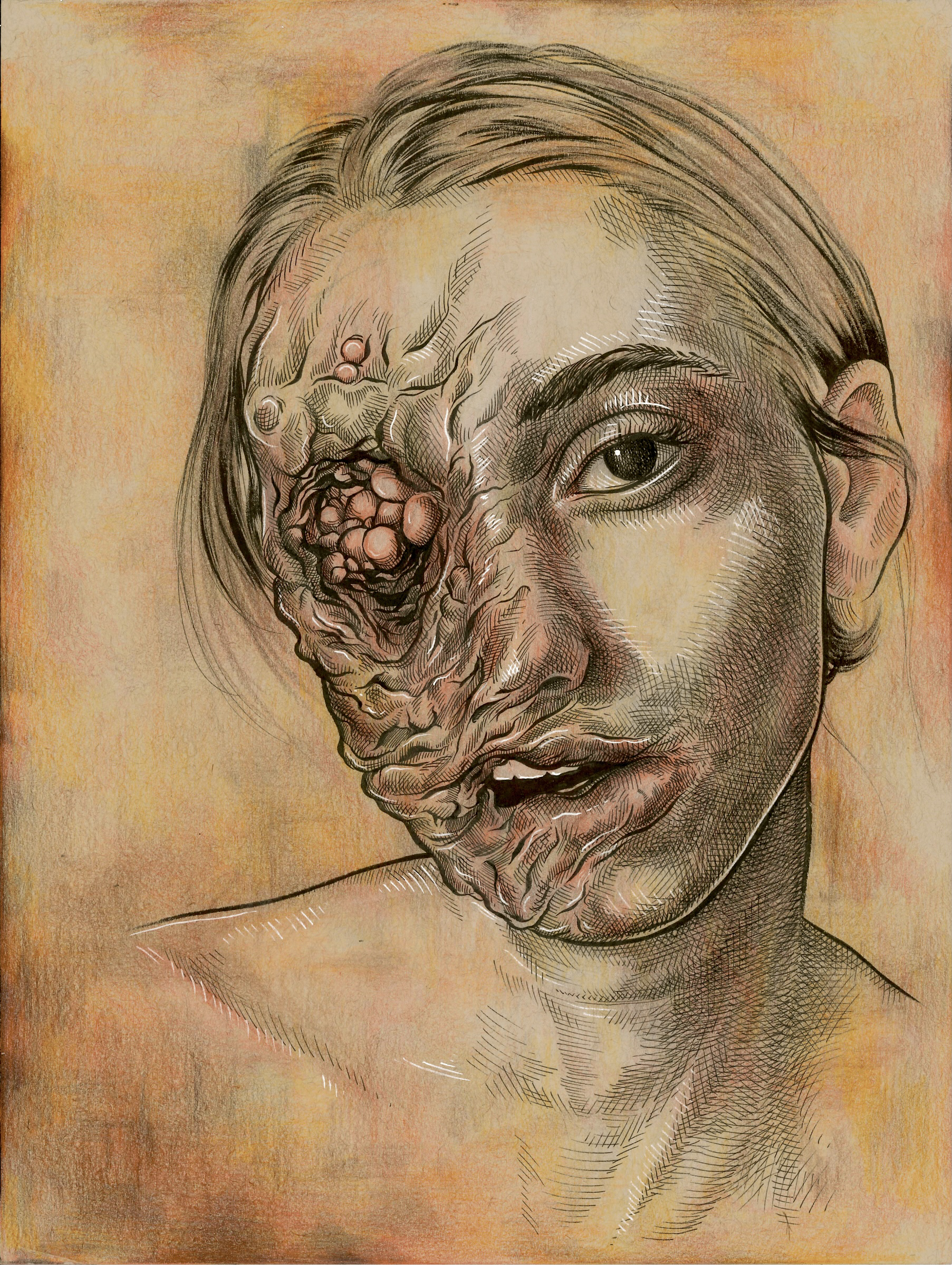  ink &amp; colored pencil on toned paper  9” x 12” 