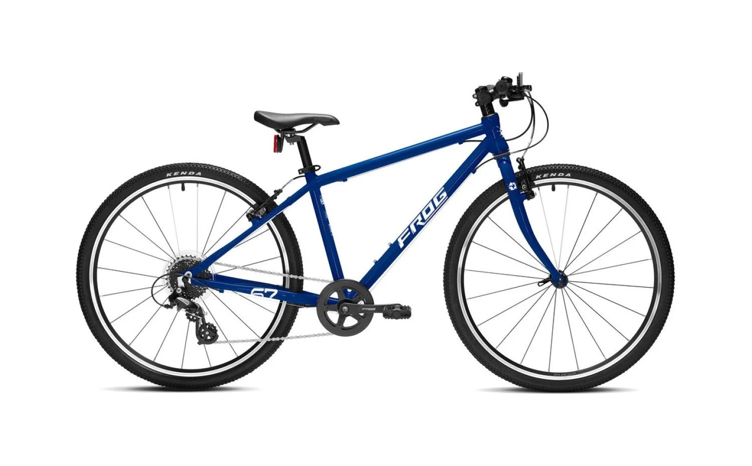 Frog 67 Electric Blue.jpg