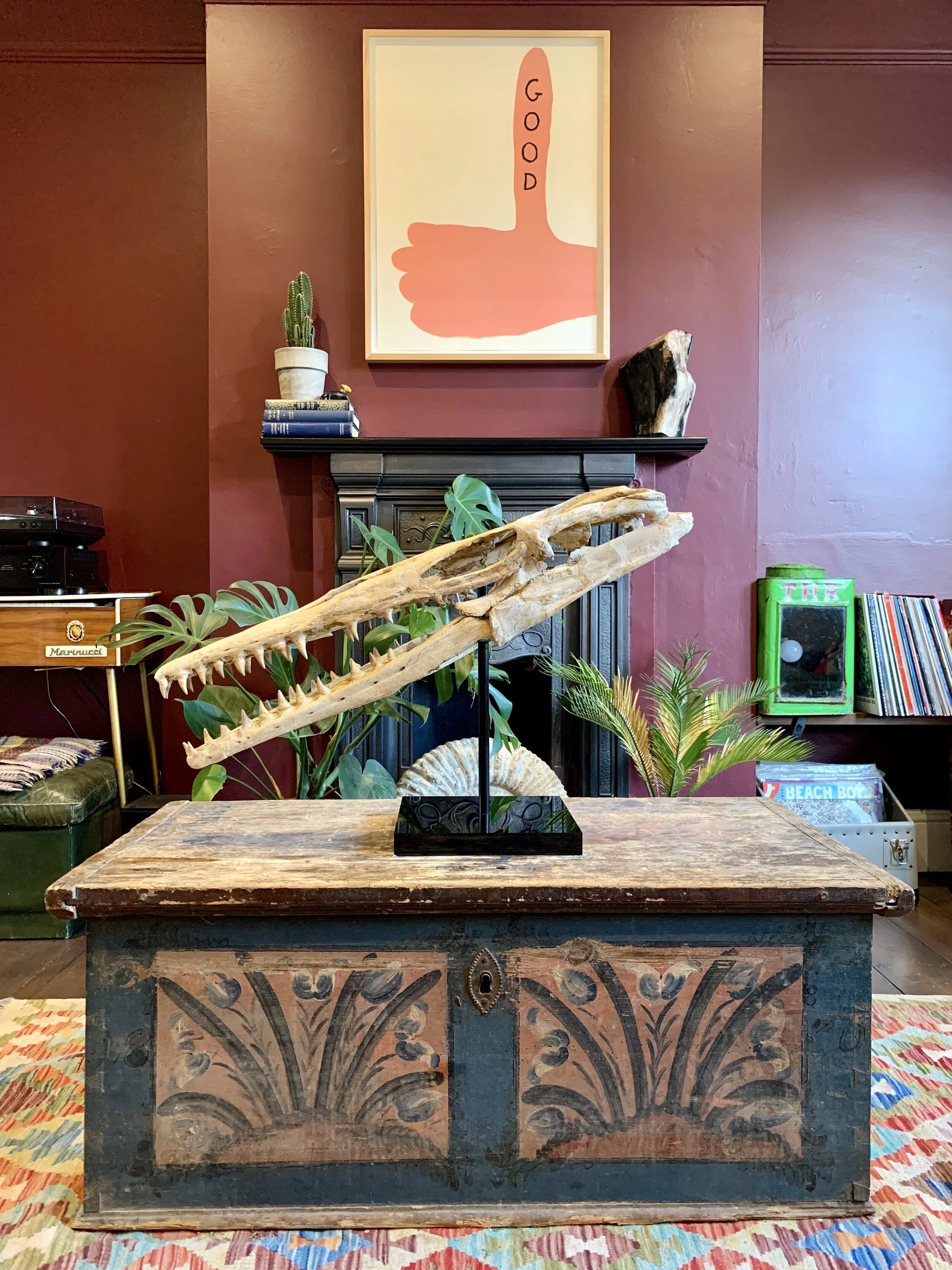 About Extraordinary Objects