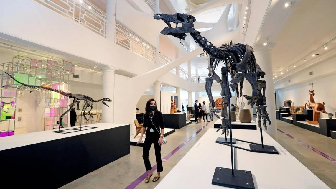 Dinosaur fossils on display in the Moore Building in the Miami Design District for Design Miami 2020.