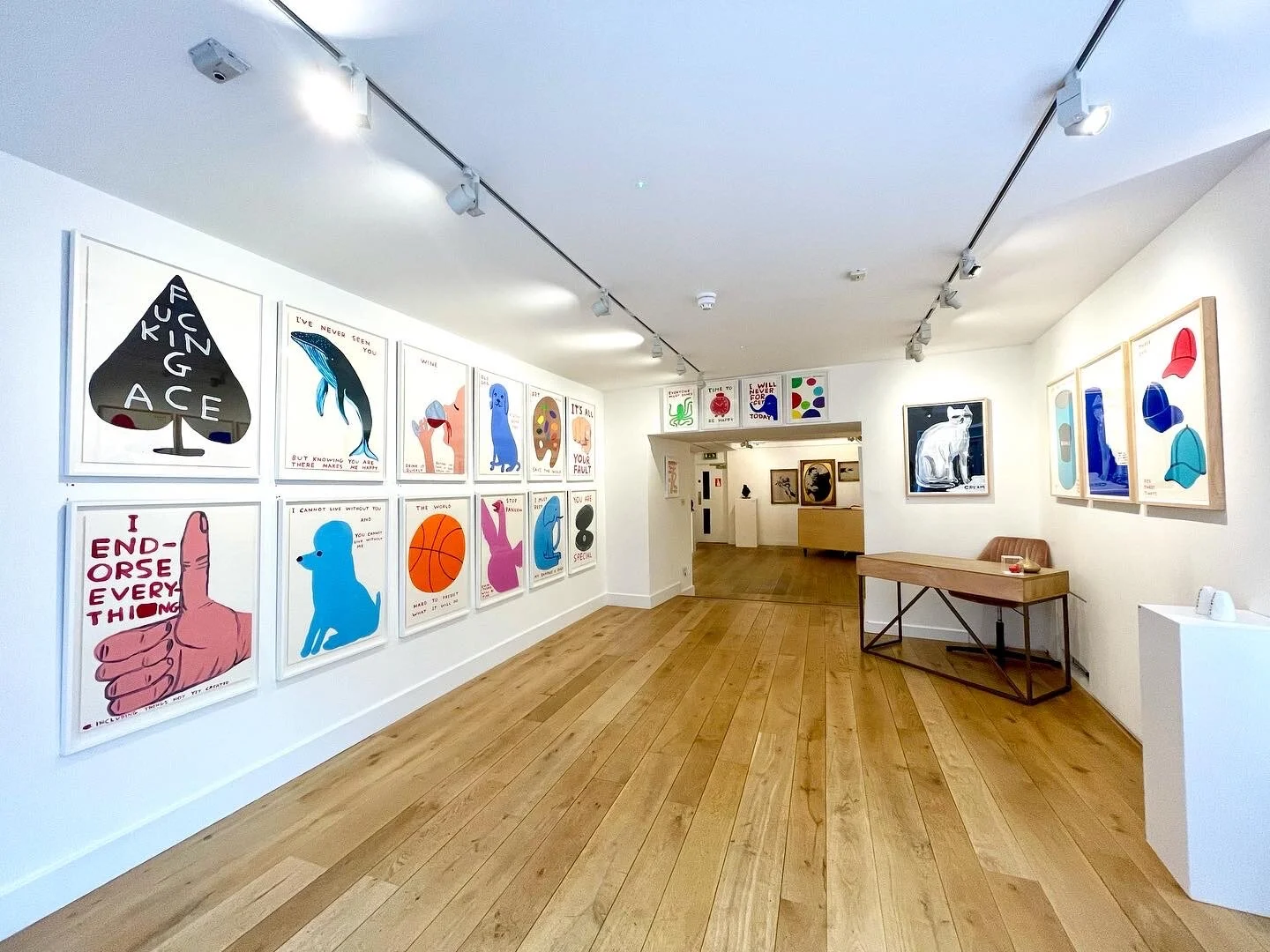 David Shrigley Private View Launch