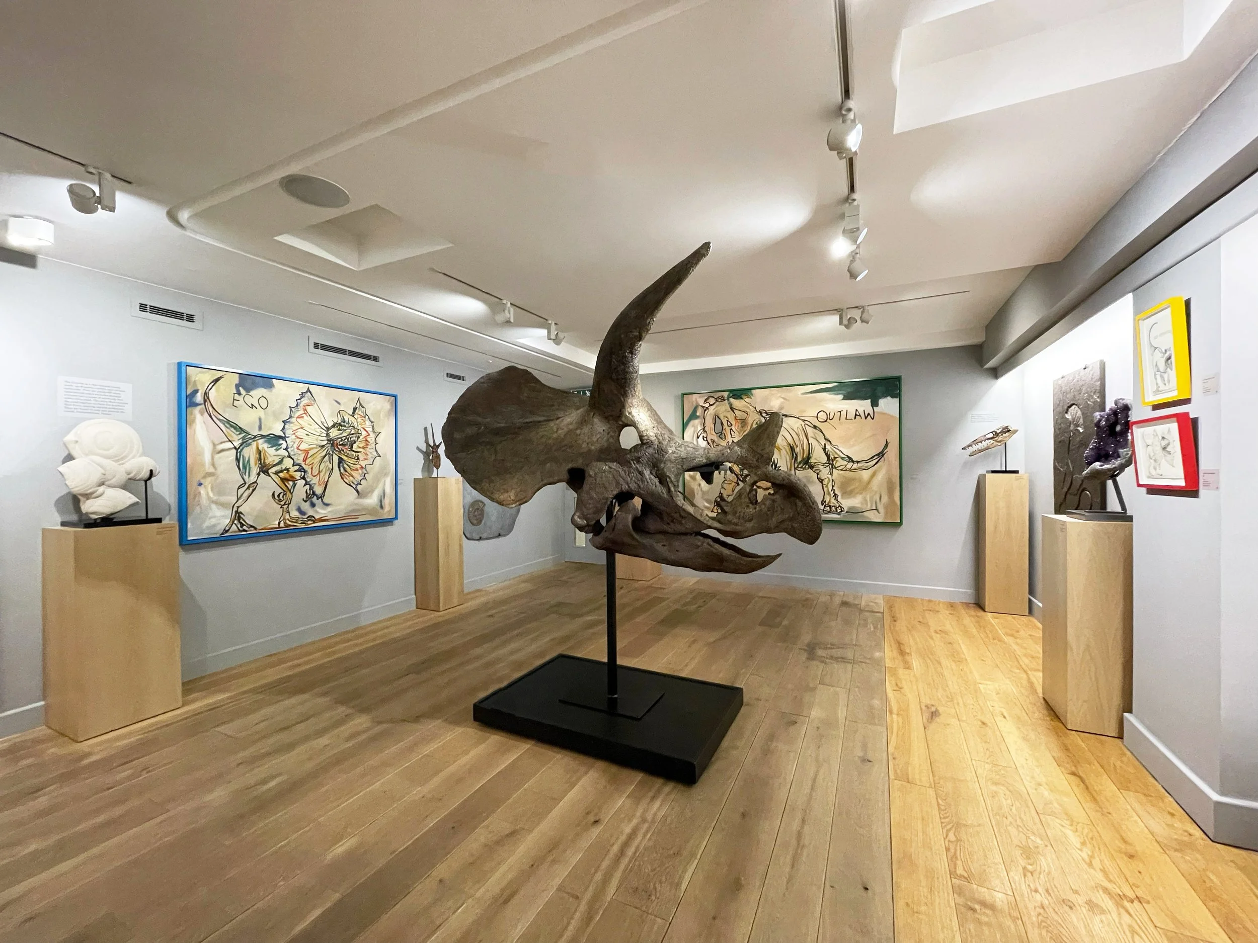 tracey-install-shot.jpg