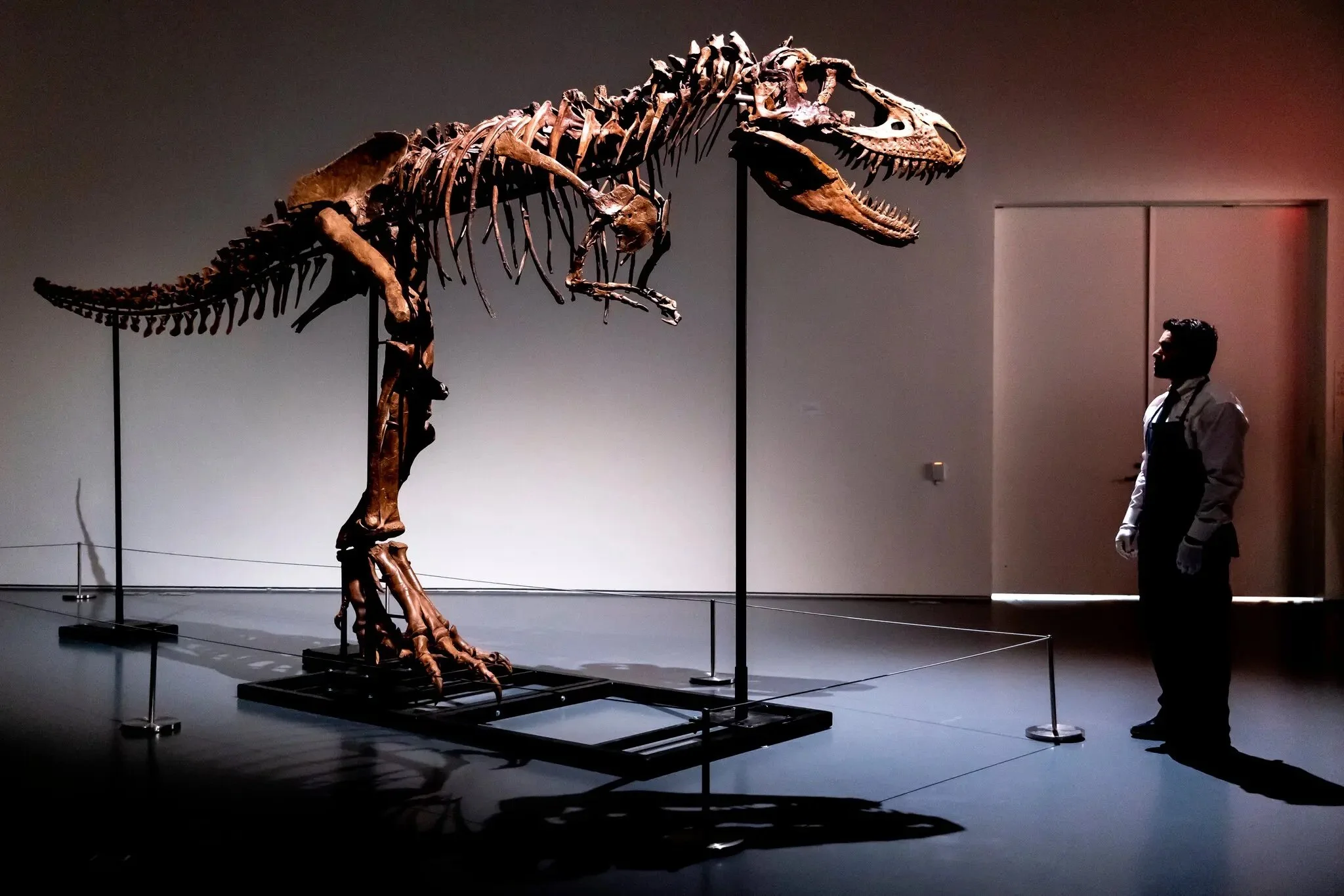 A Year in Art & Natural History