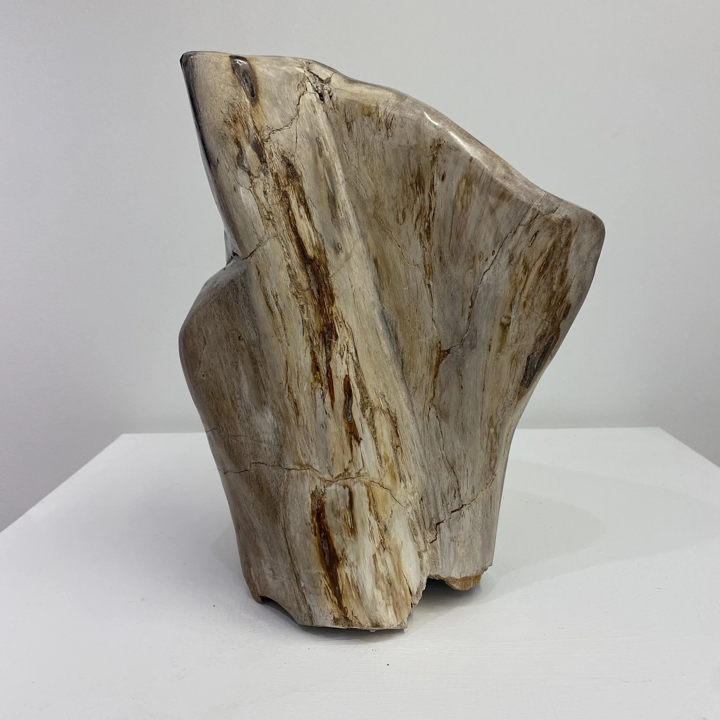Petrified Wood - £195