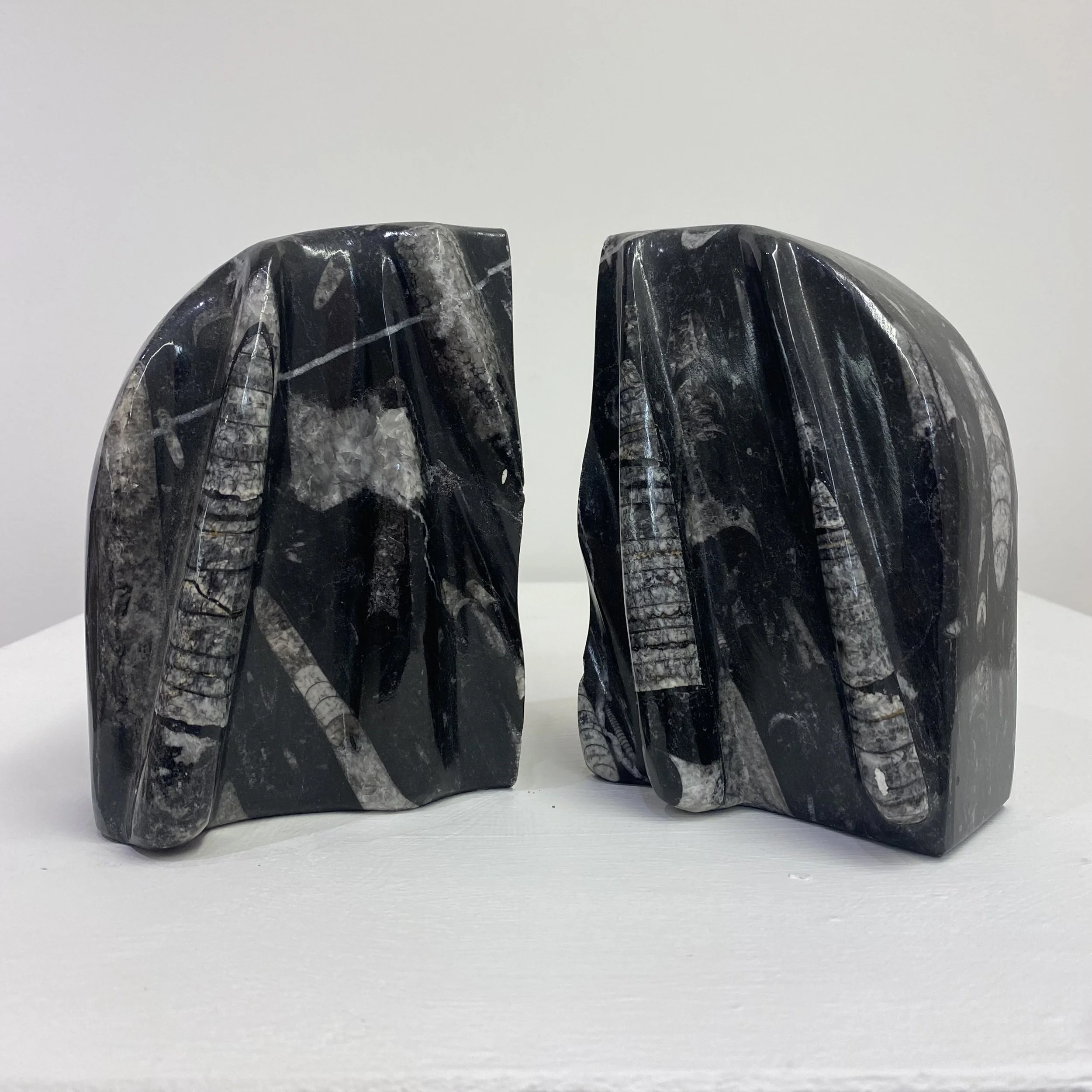Orthoceras and Black Marble Bookends - £150