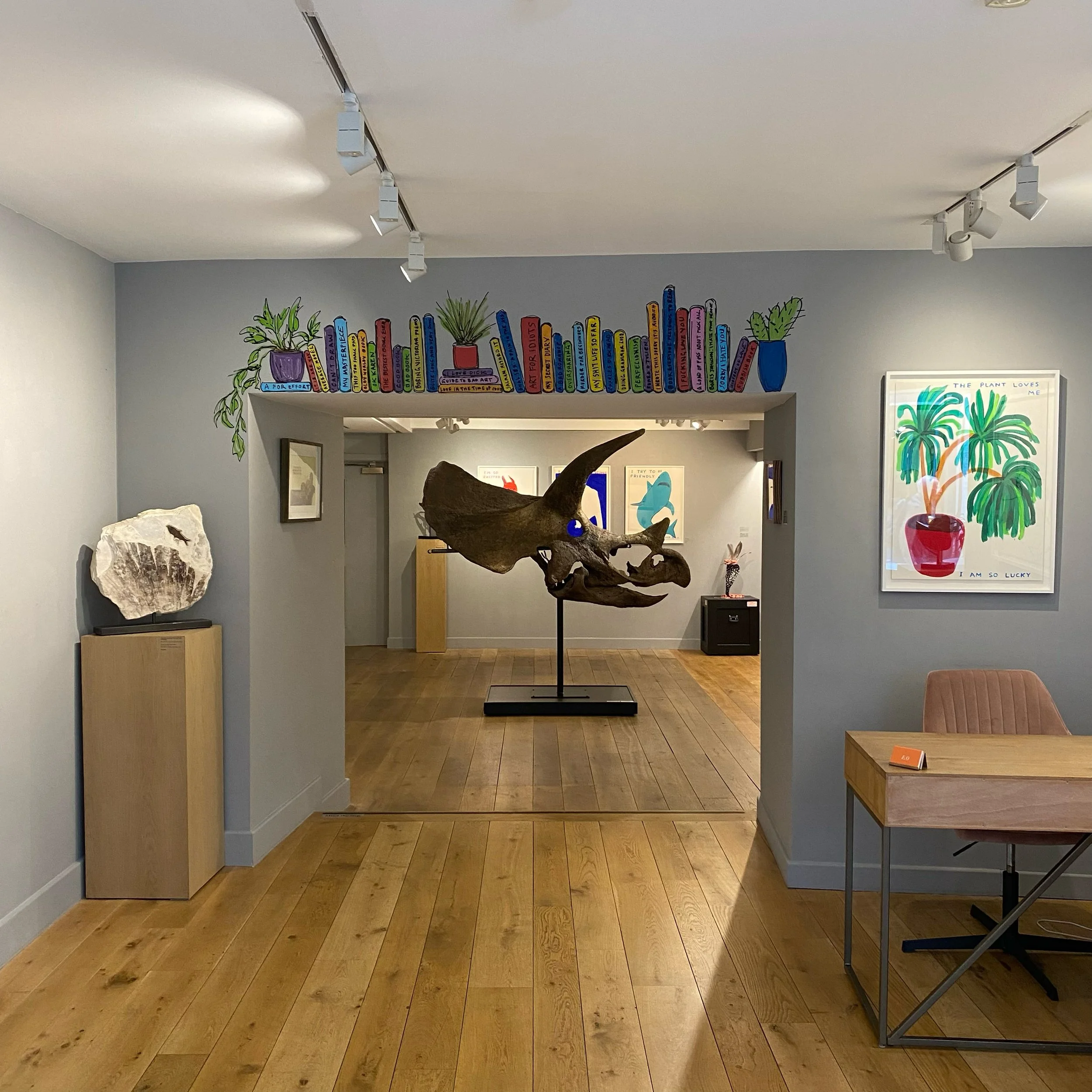 extraordinary-objects-extraordinary-collections-ii-in-situ-shot-18.jpg