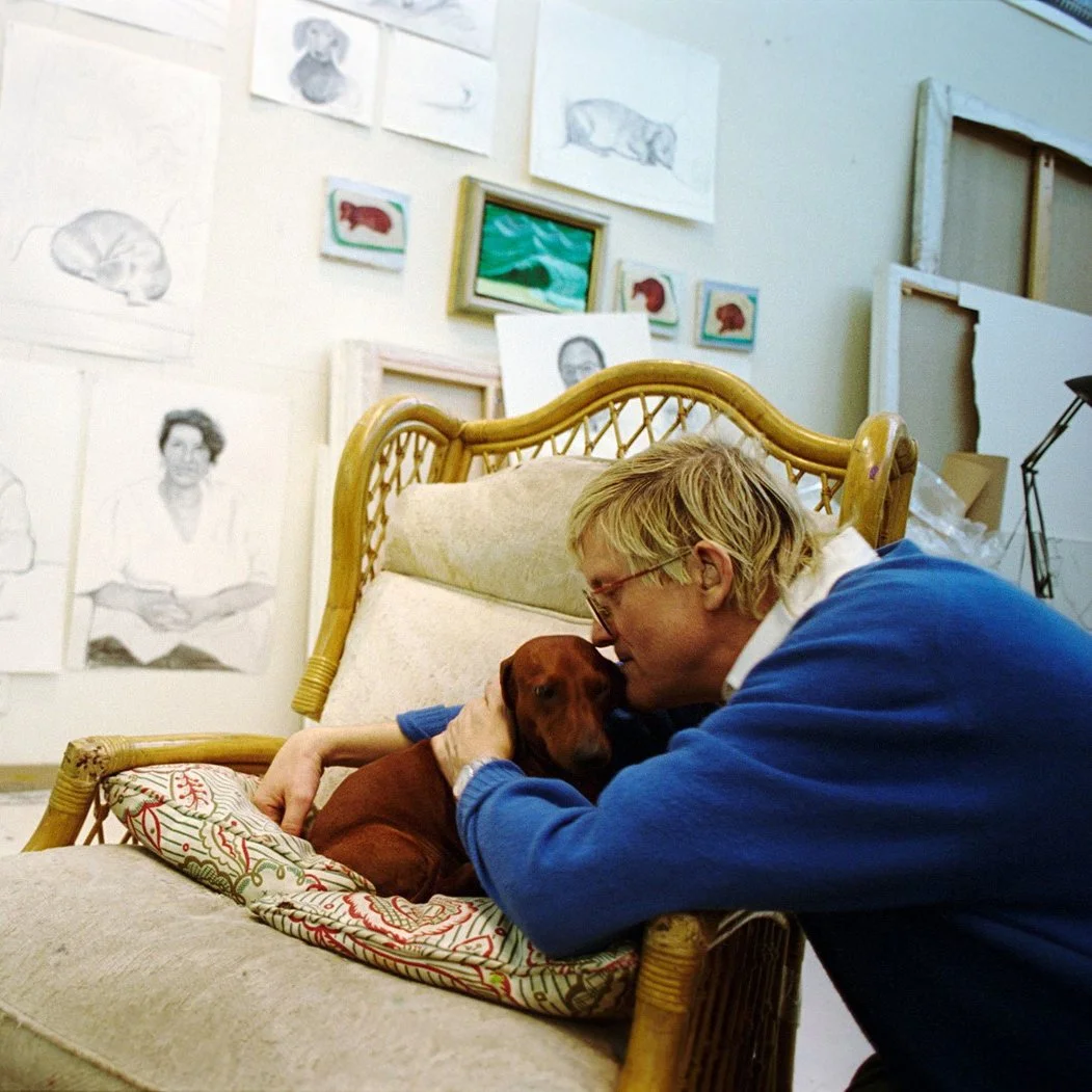 David Hockney: Little Boodge and His Love of Dogs