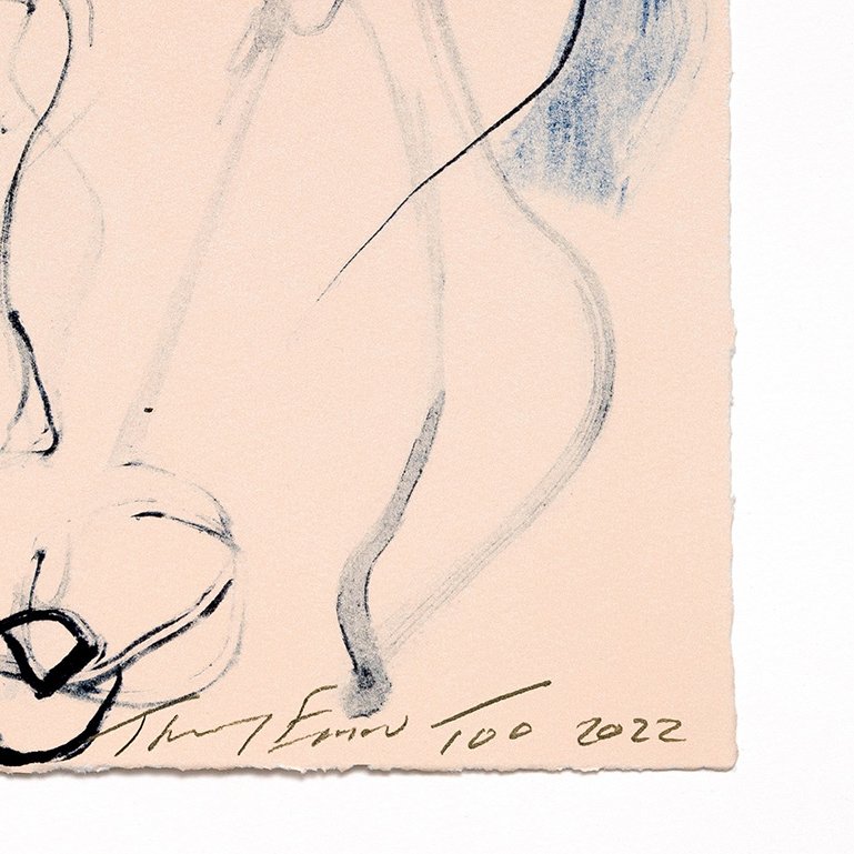extraordinary-objects-tracey-emin-curled-up-print-signature-2.jpg