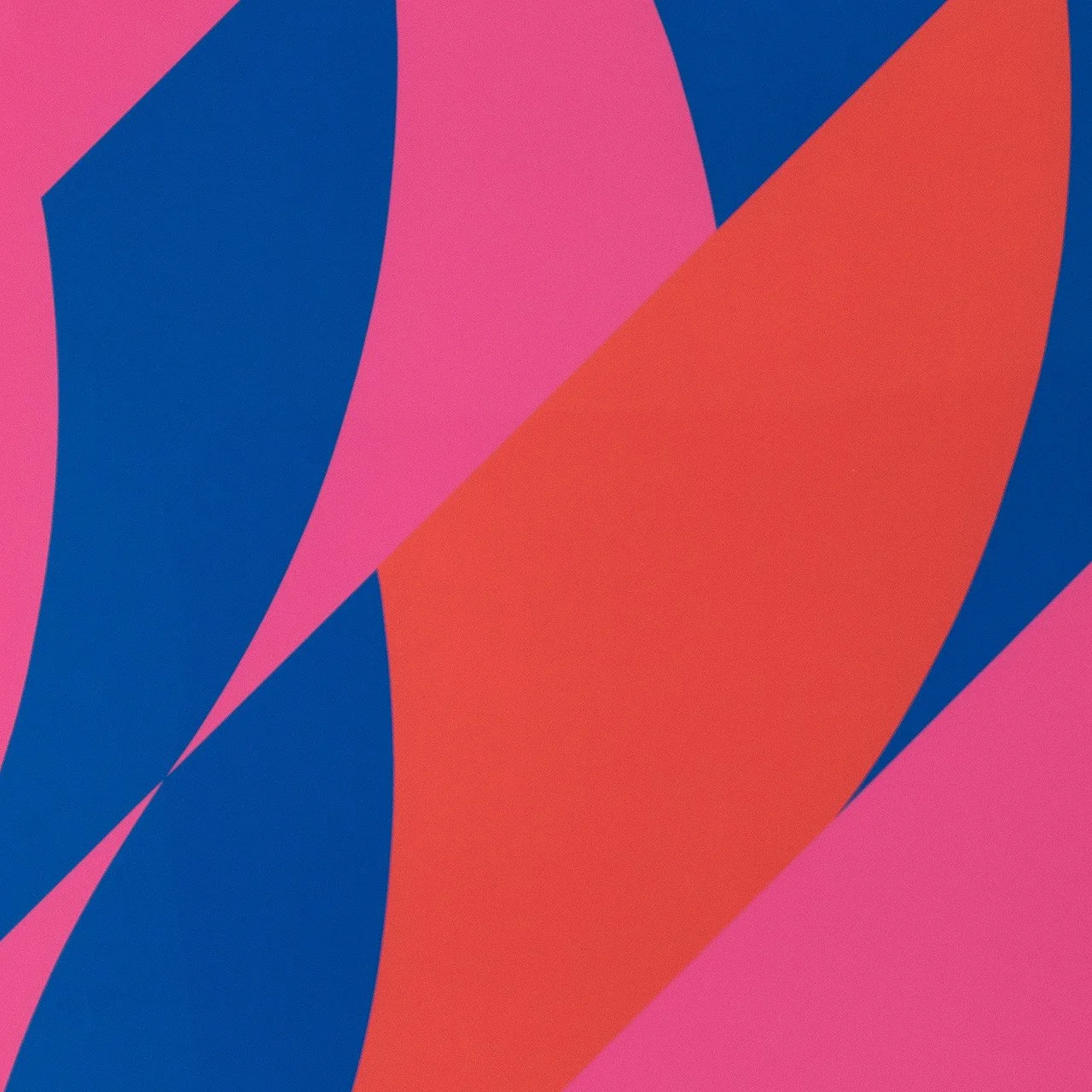 Bridget Riley: Large Fragment 2