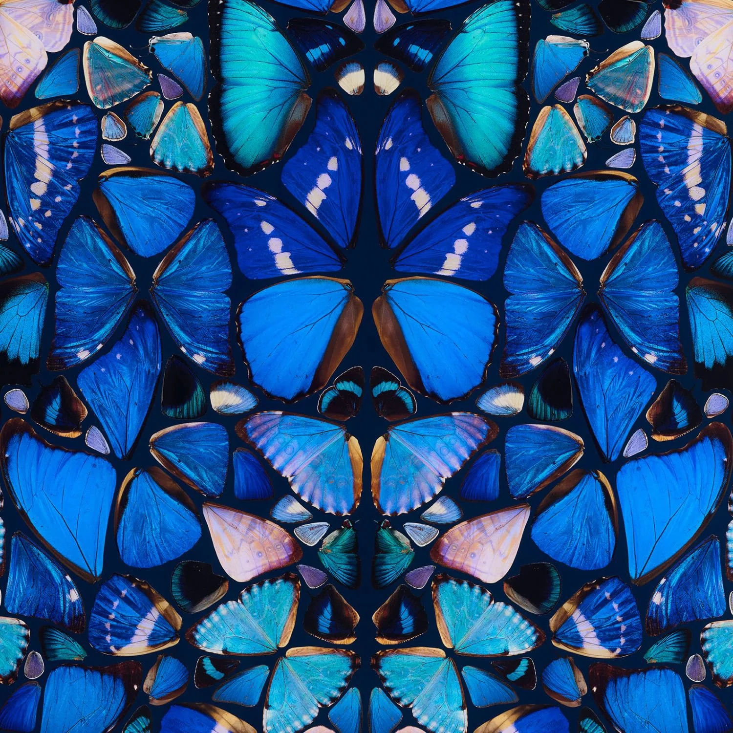Damien Hirst