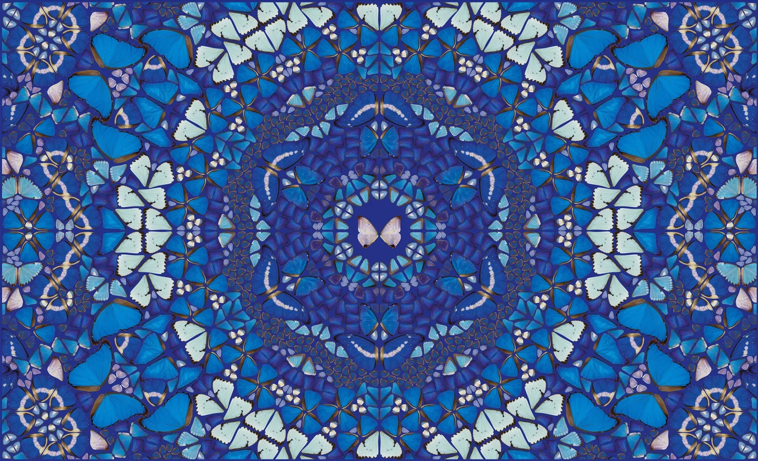 extraordinary-objects-damien-hirst-kaleidoscopes-chameleon-hi-res.jpg