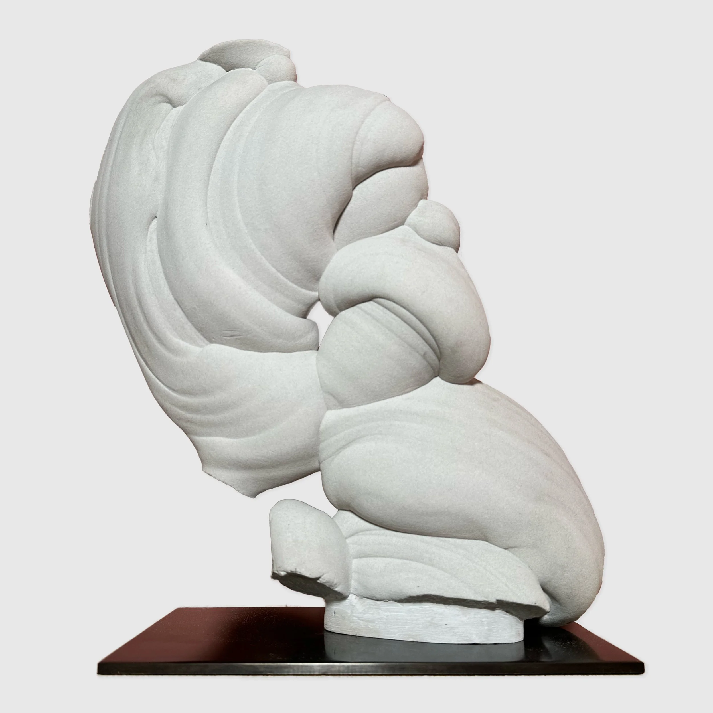 Rare Gogotte Formation