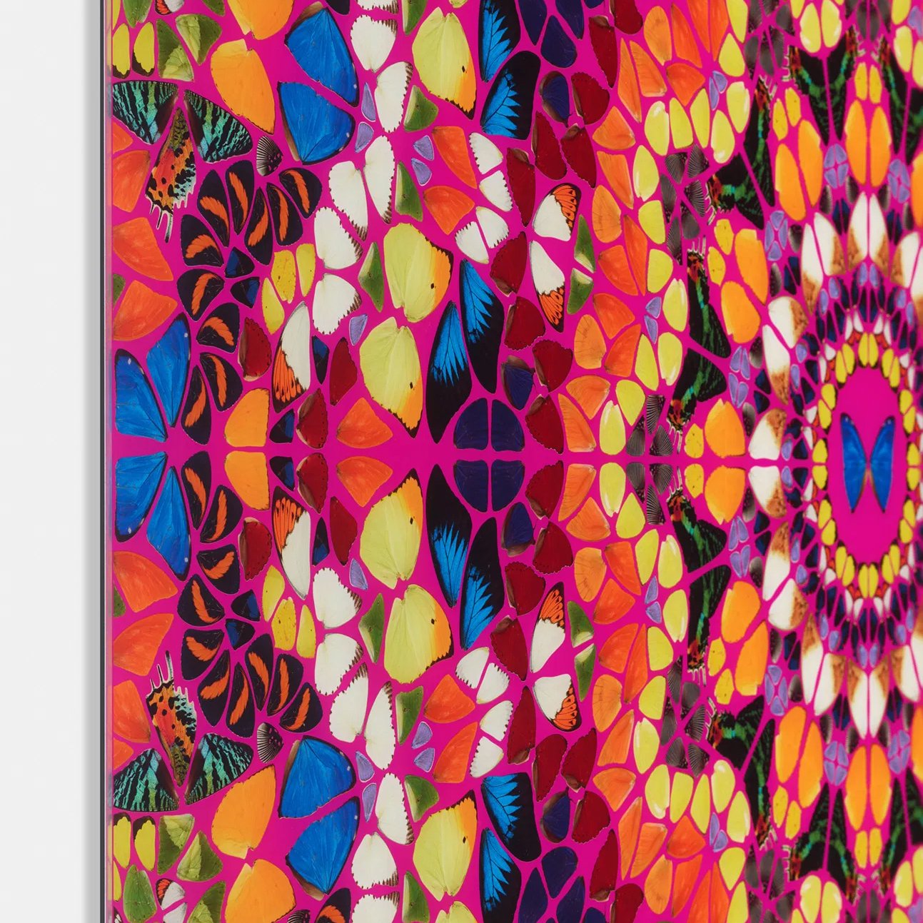 extraordinary-objects-damien-hirst-harlequin-from-the-kaleidoscopes-detail-2.jpg
