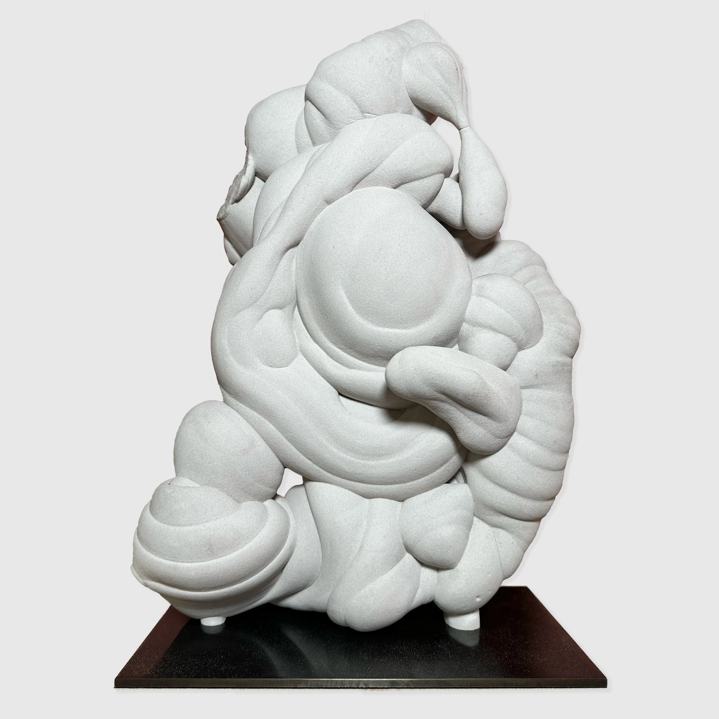 Rare Gogotte Formation