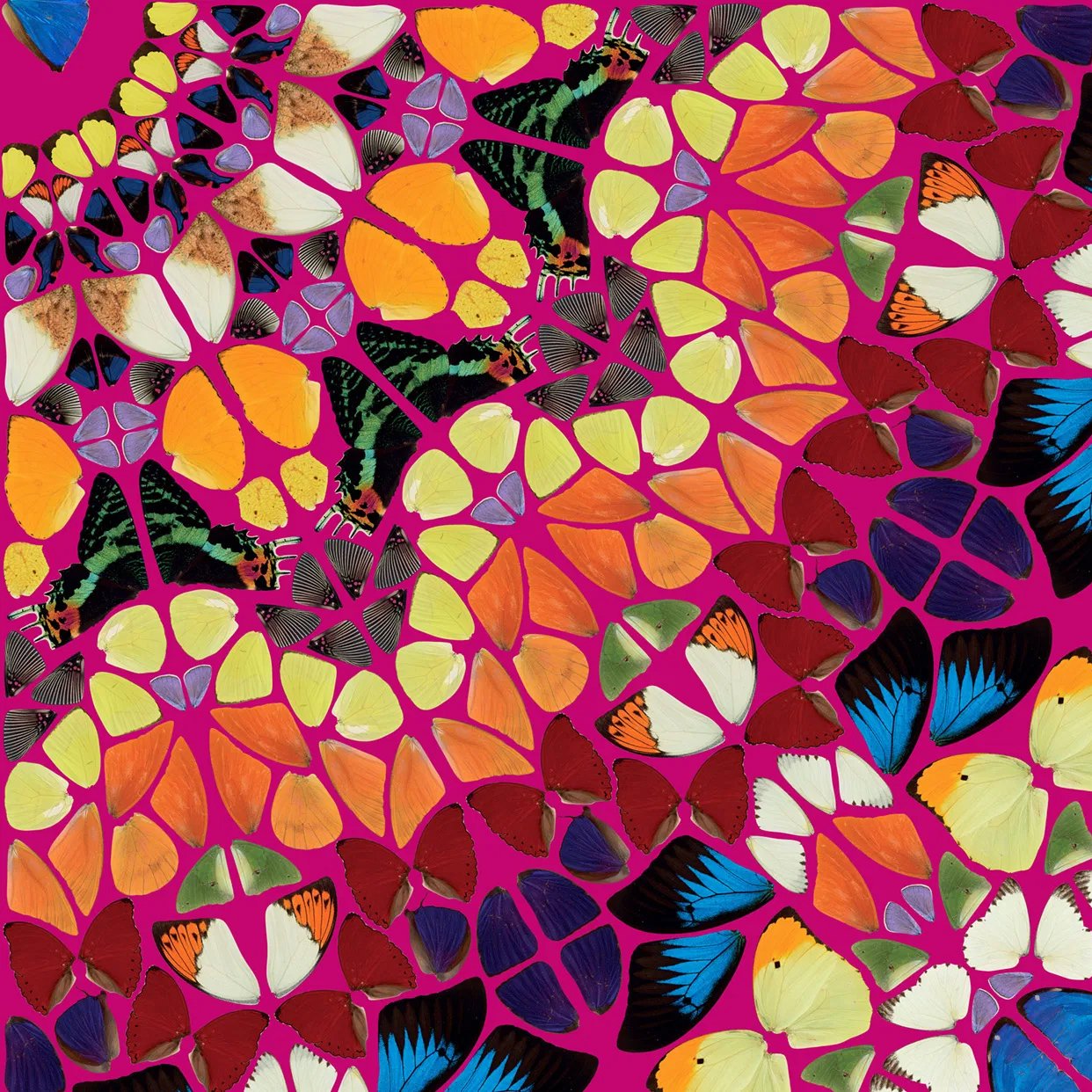 extraordinary-objects-damien-hirst-harlequin-from-the-kaleidoscopes-detail-3.jpg