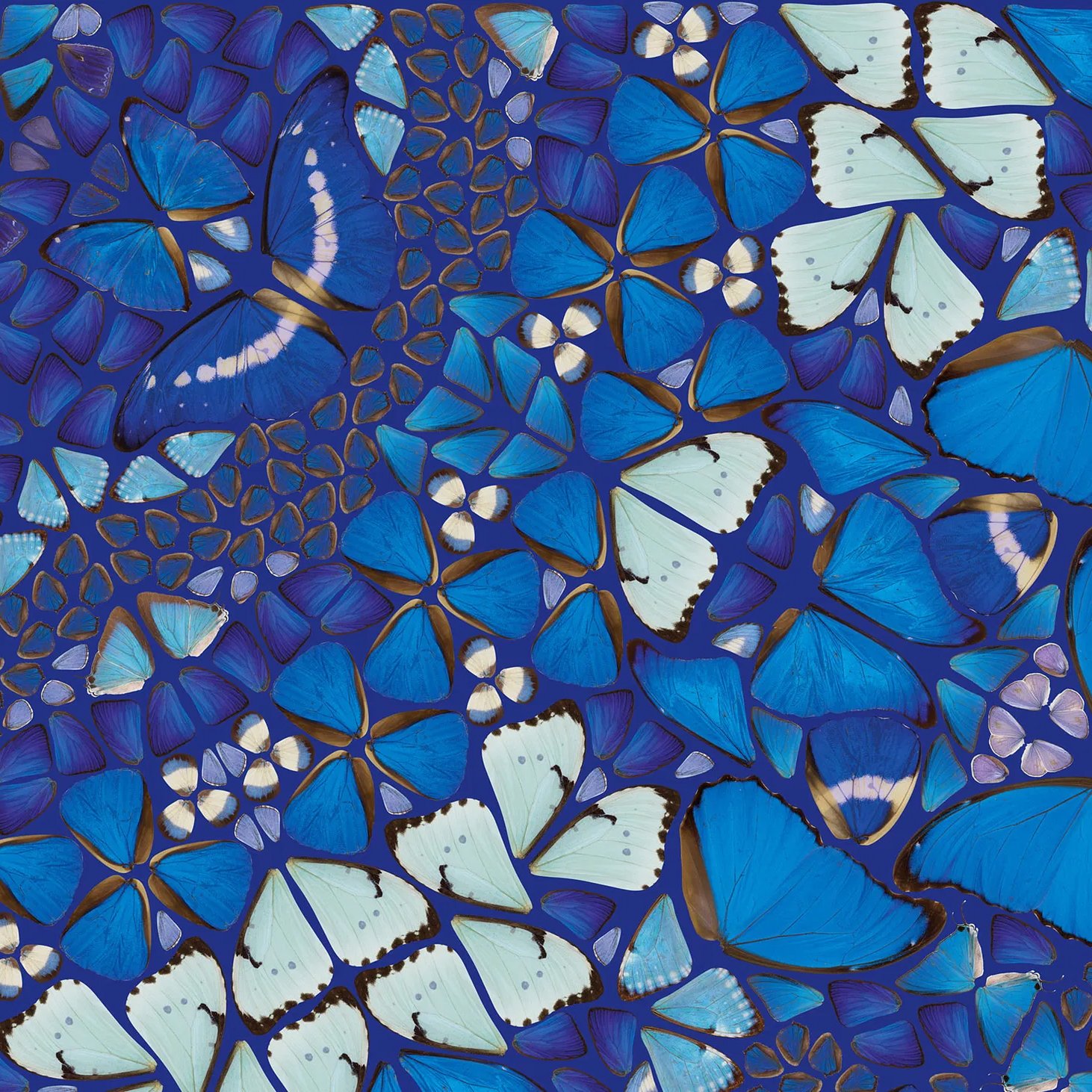 extraordinary-objects-damien-hirst-kaleidoscopes-chameleon-close-up.jpg