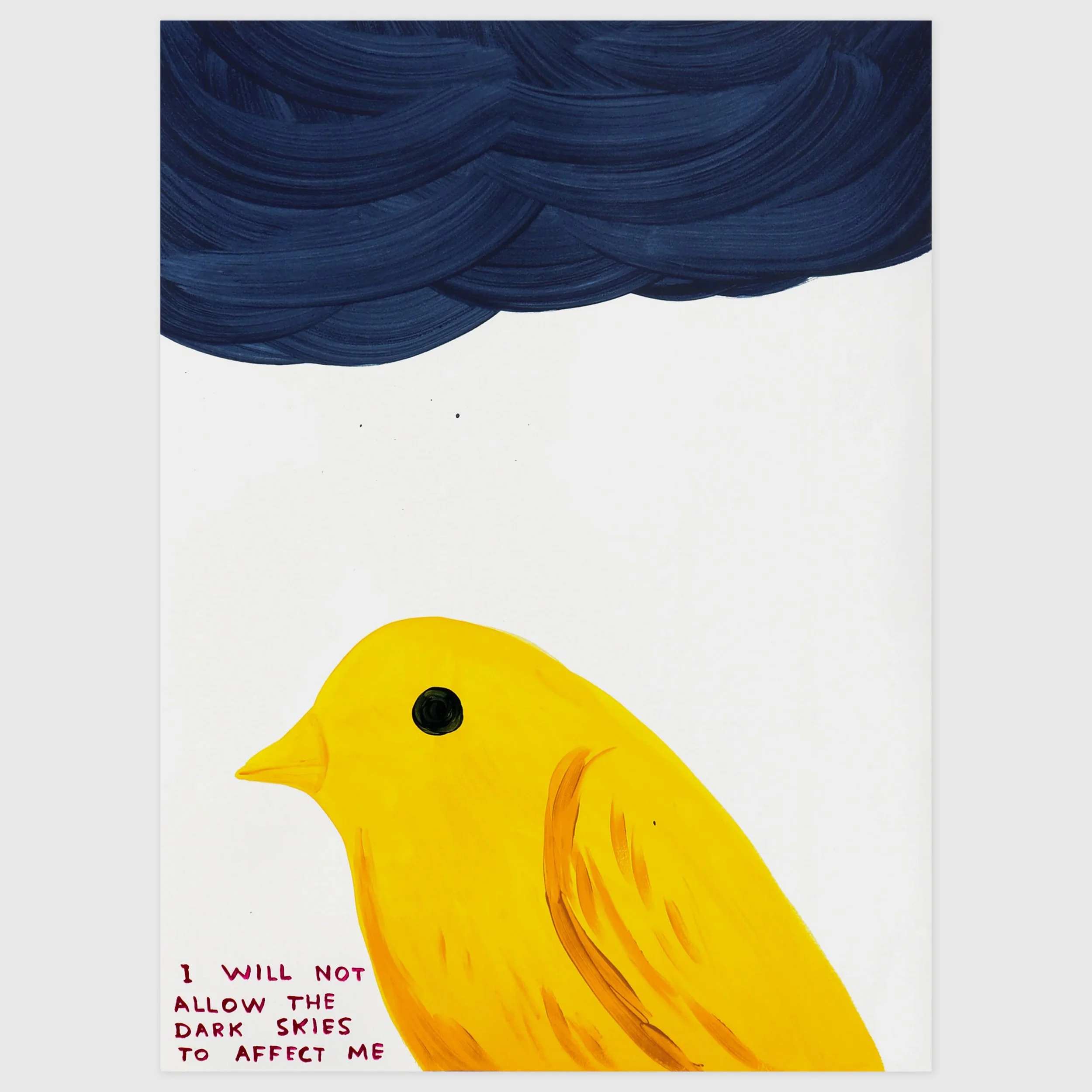 David Shrigley 'I Will Not Allow The Dark Skies To Affect Me'