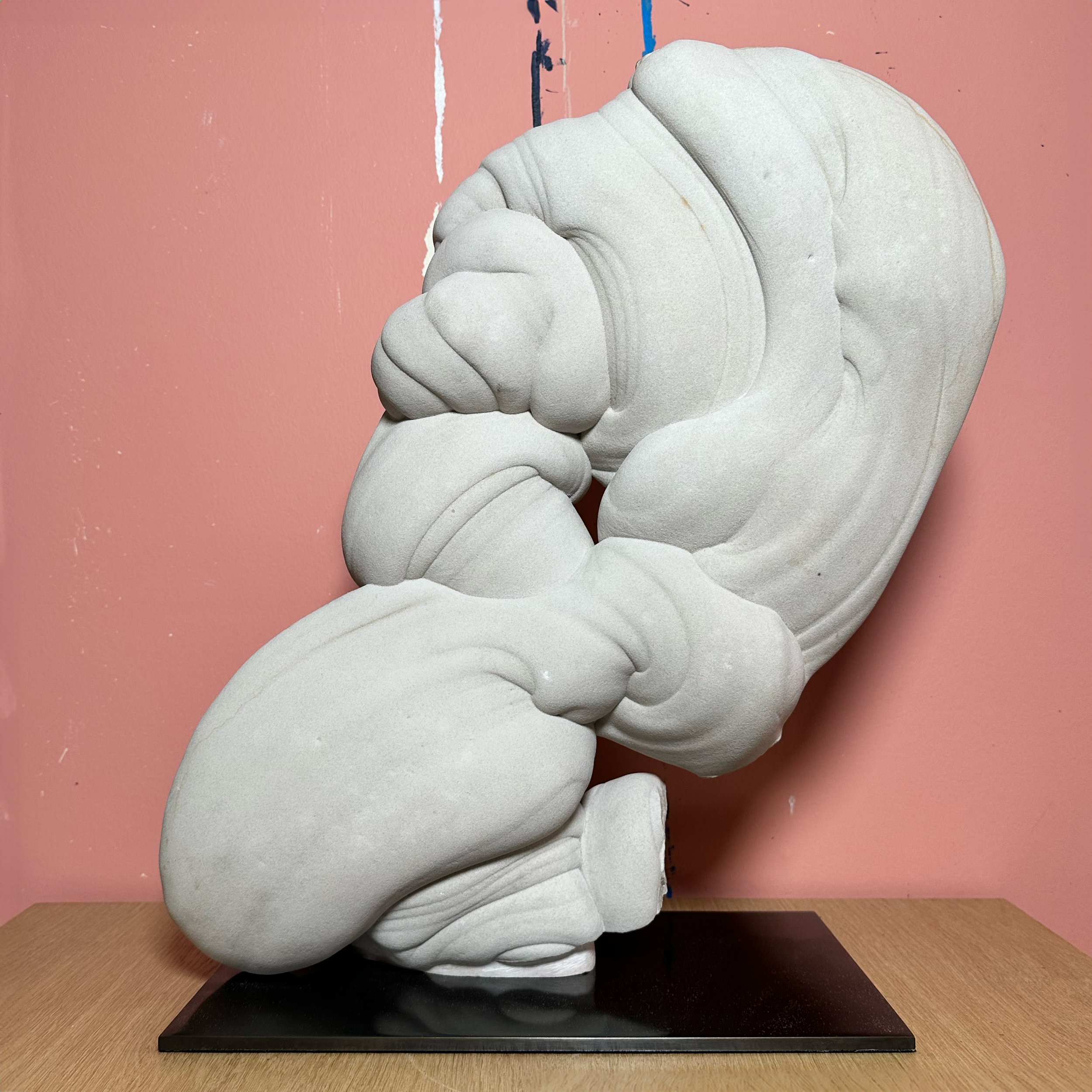 extraordinary-objects-natural-history-gogotte-poseidon-in-situ-back.jpg