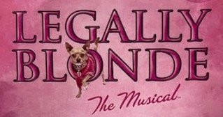 🎭 Future stars in the making! 🌟⁠
⁠
A group of 12 talented Key Stage 3 girls with a love for musical theatre enjoyed an incredible trip to see Legally Blonde performed by the amazing students at Halesowen College.⁠
⁠
🎤 From powerful vocals to stand