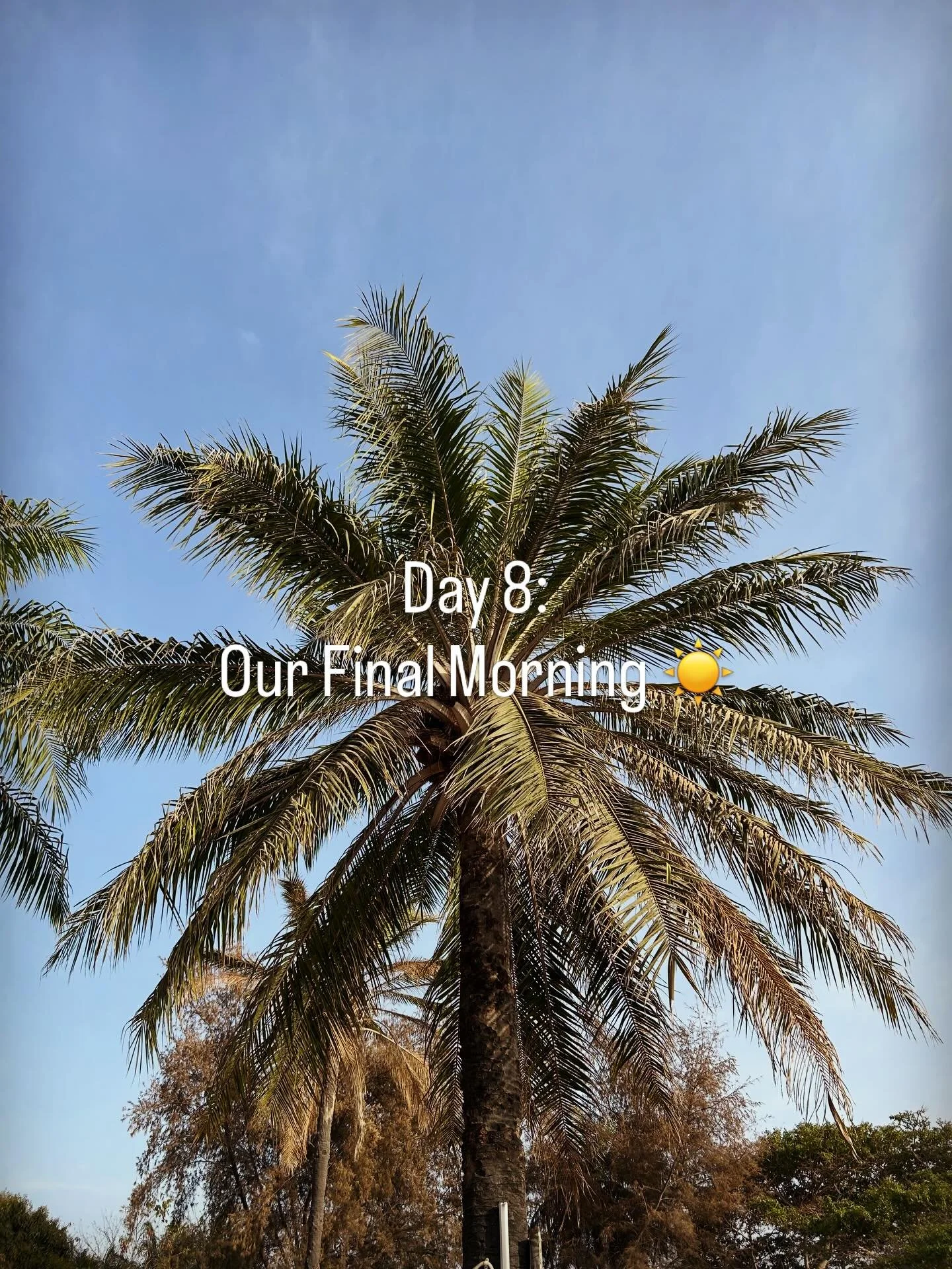 Our final morning here in The Gambia spent relaxing in the hotel by the pool before heading back to the airport this afternoon ✈️