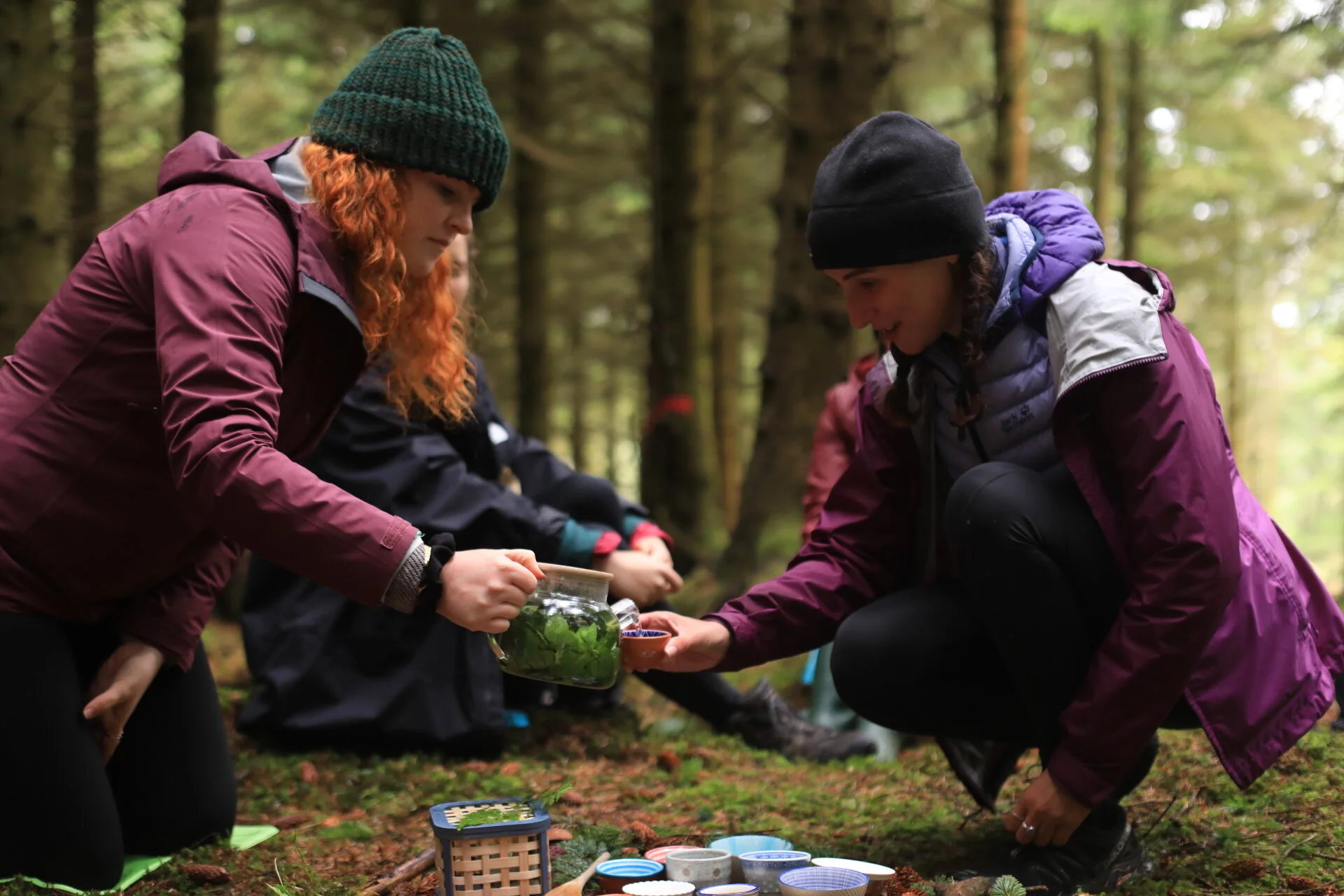 Nature Therapy Ireland