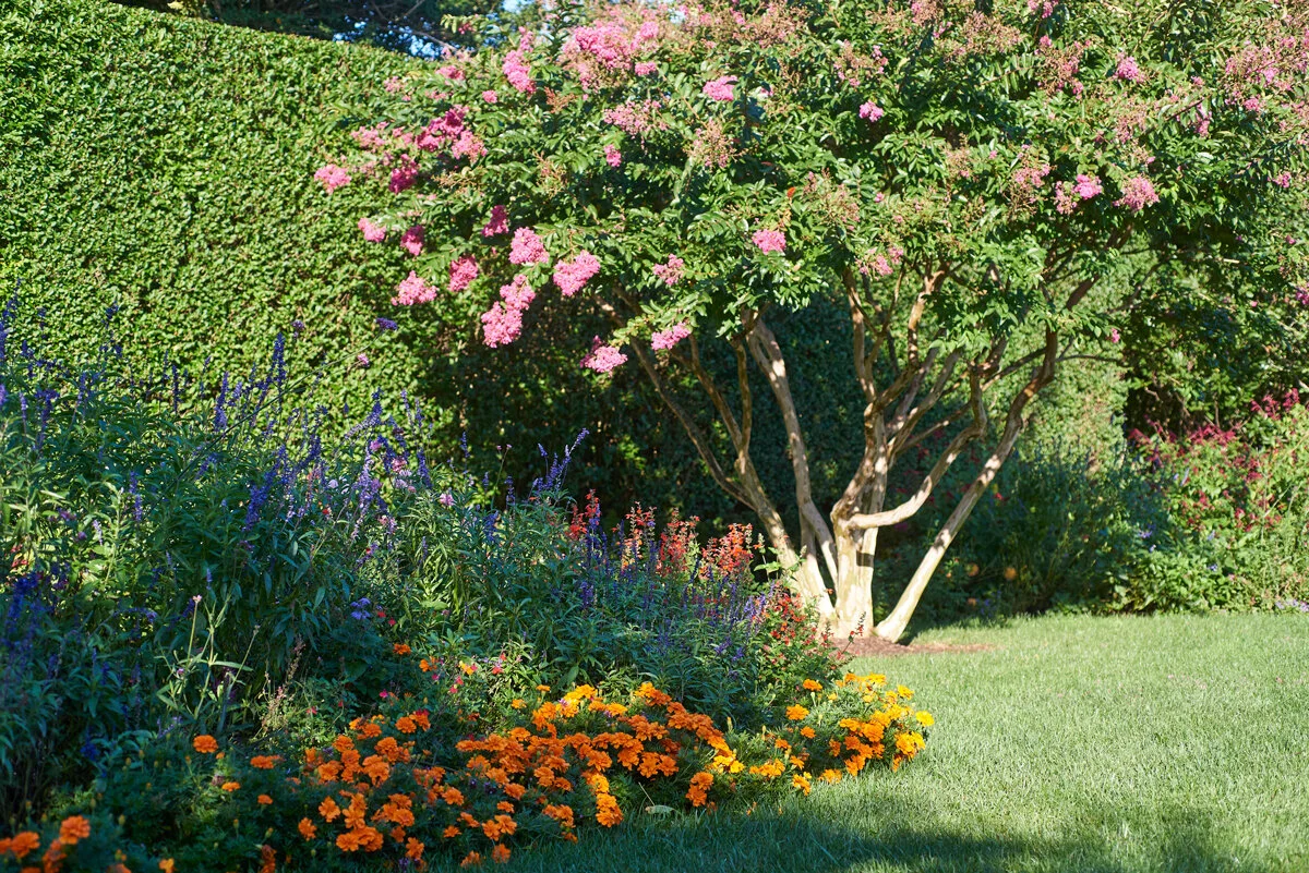 Gardens