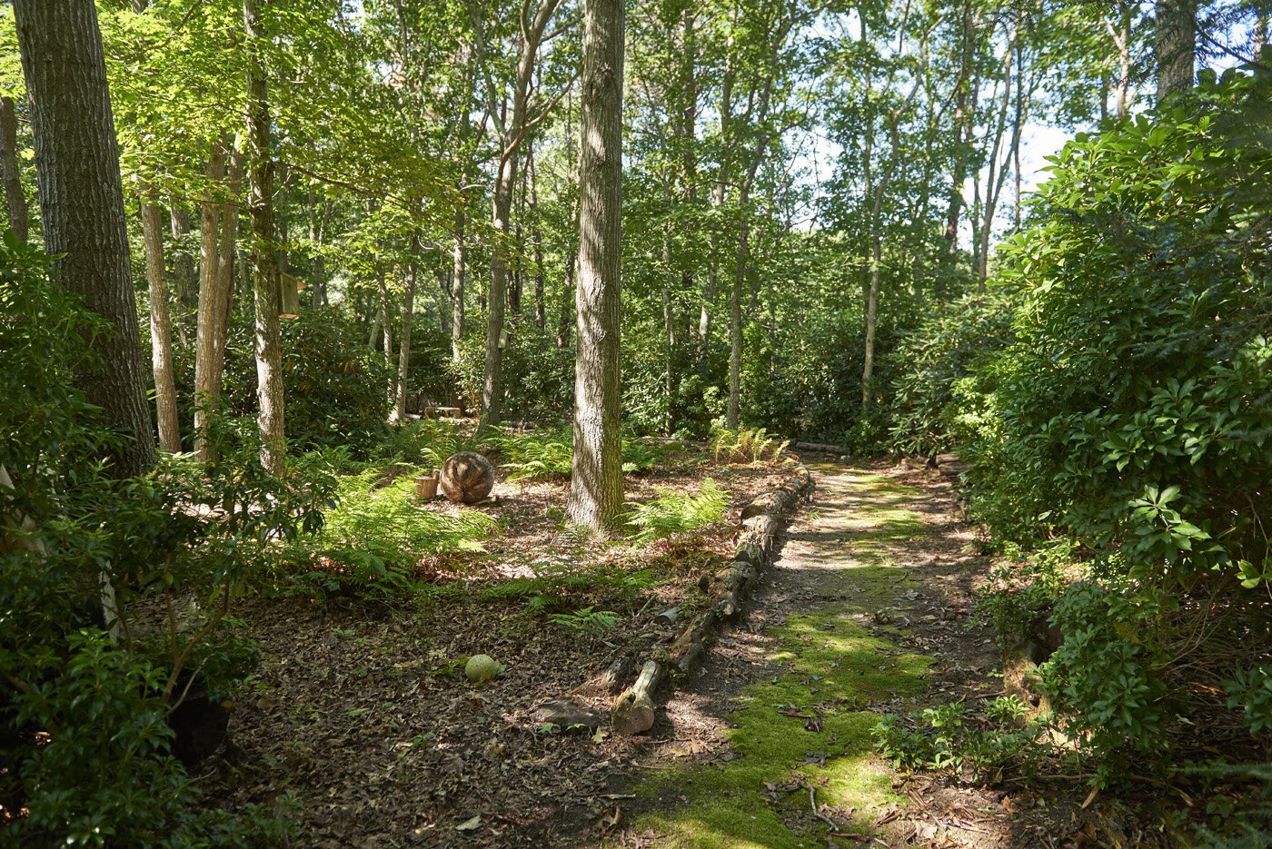 Paths