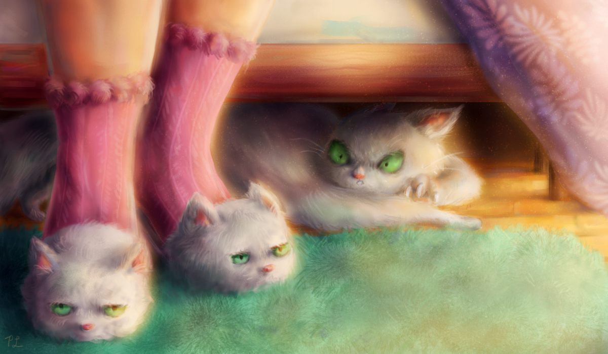 CatSlippers.png