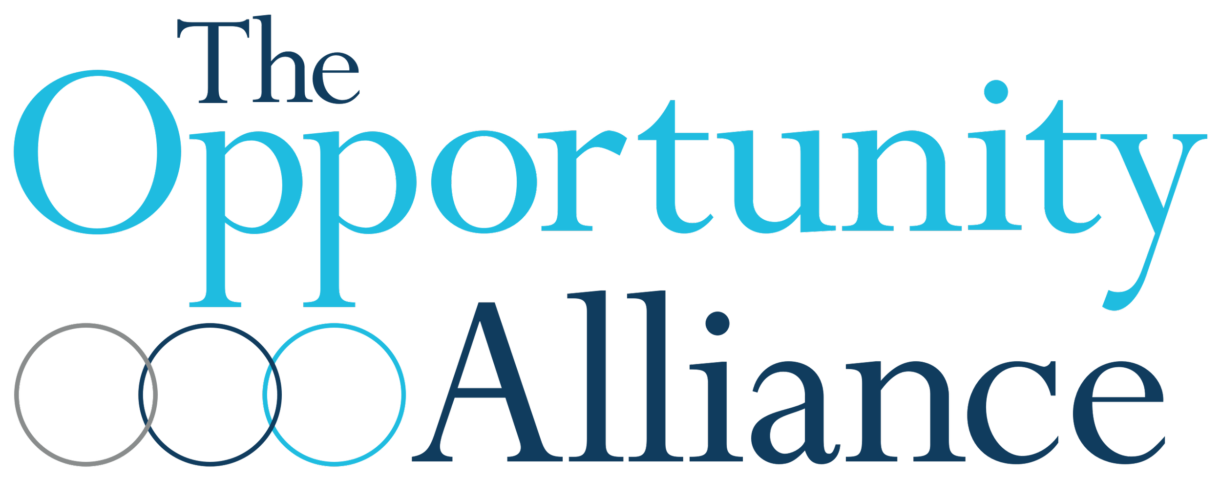 The Opportunity Alliance