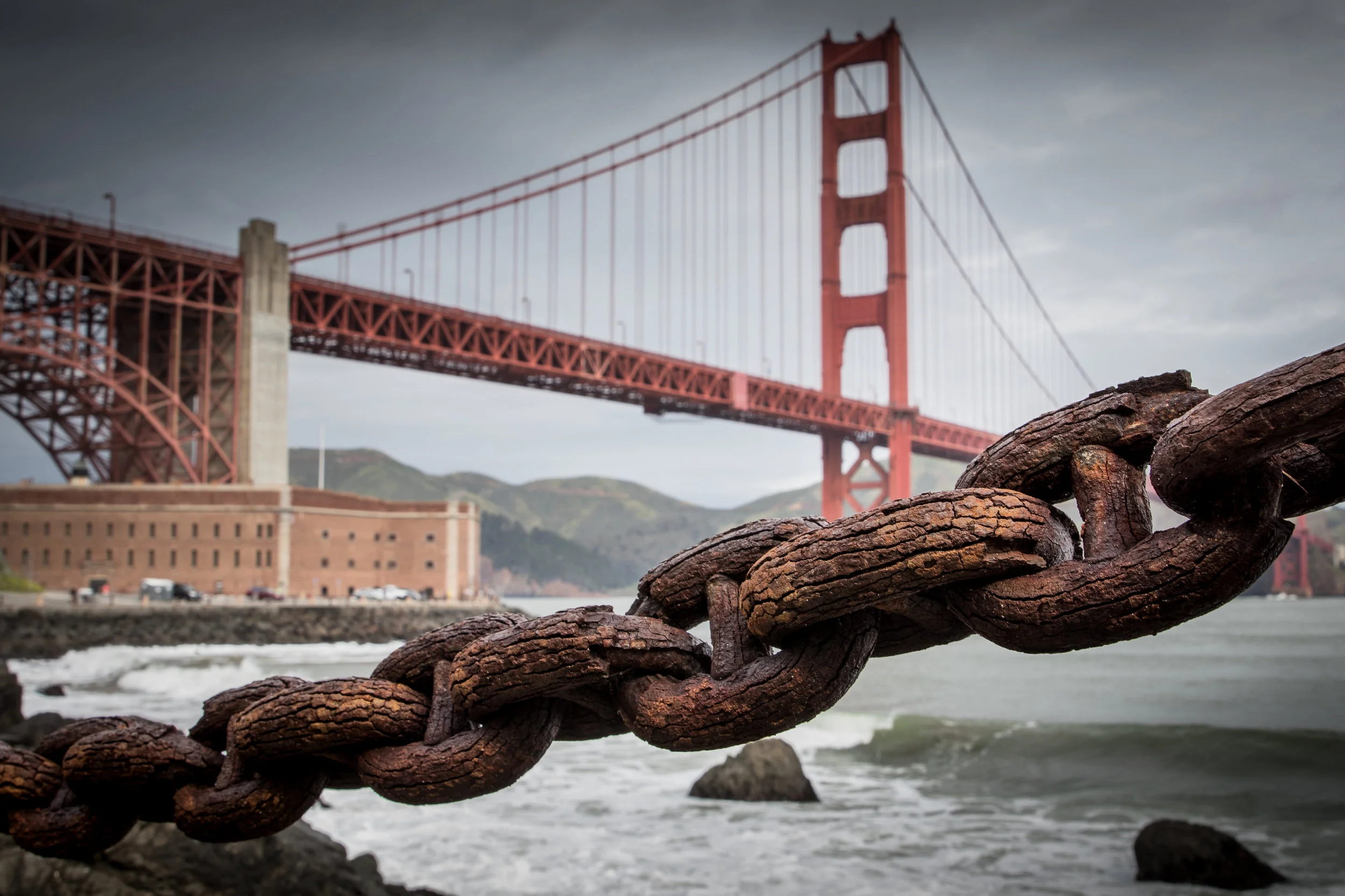 Supply Chain Traceability, Transparency, and Continuity