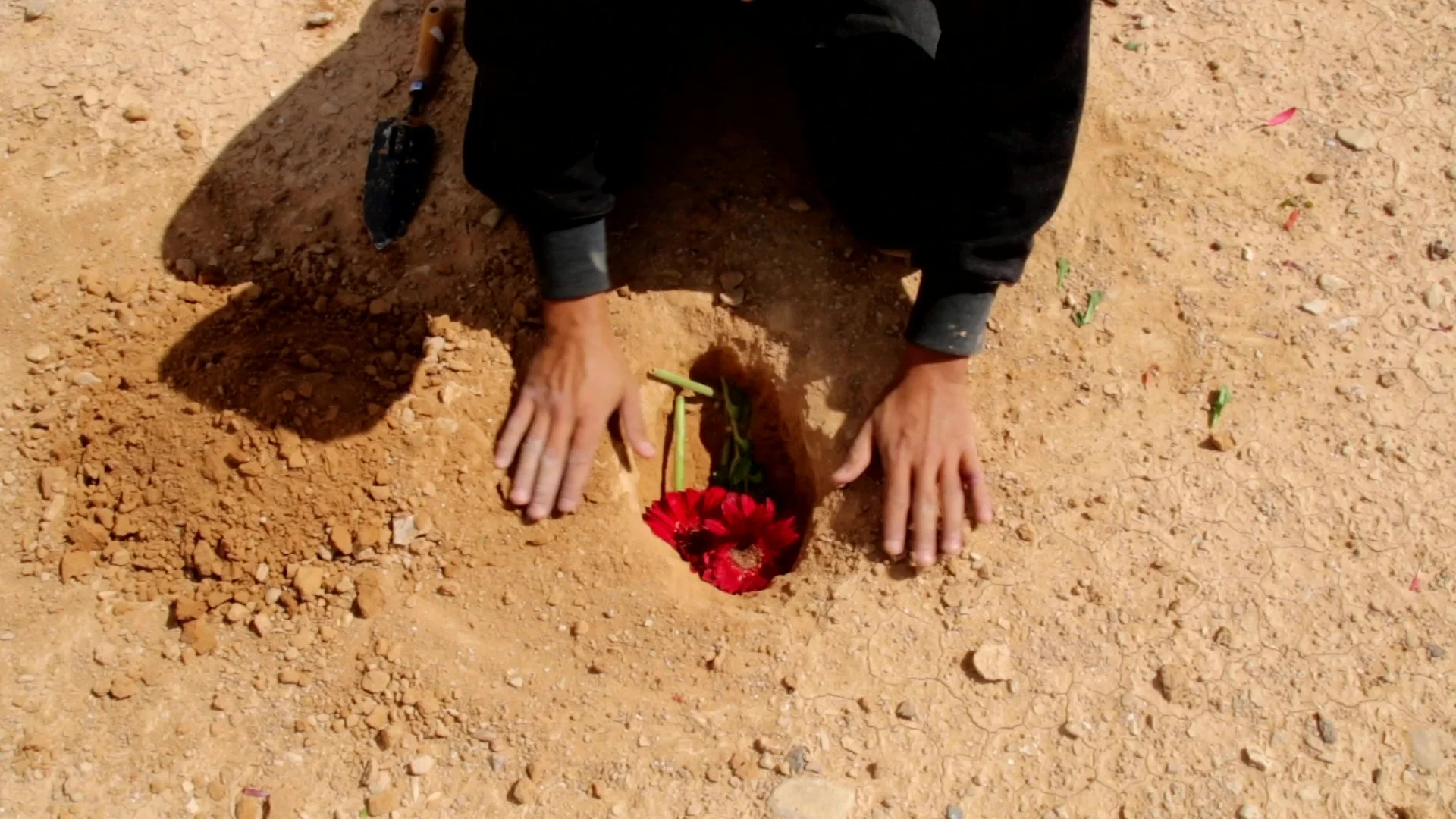 Flower 3.jpg