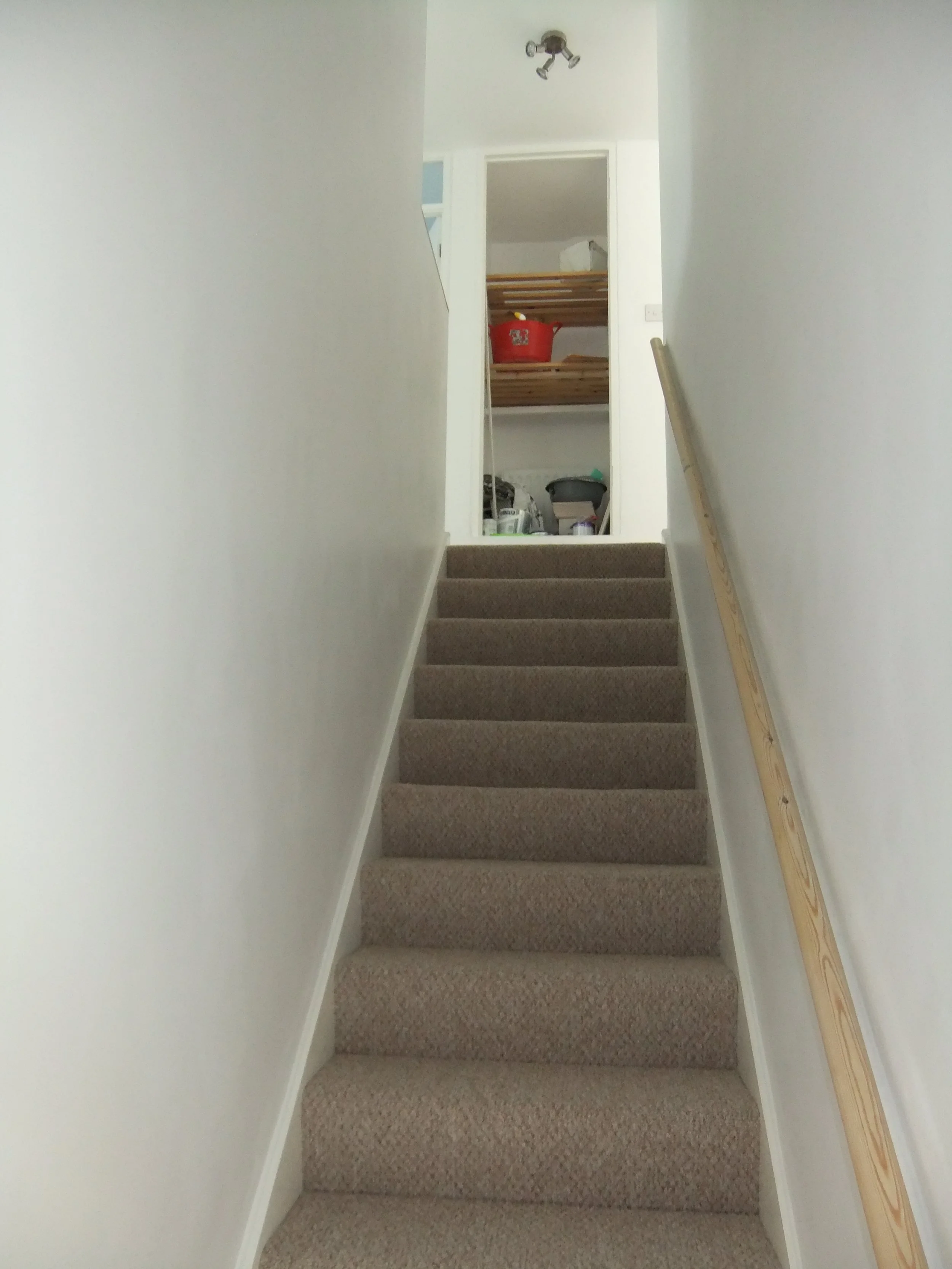 DSCF8995.JPG