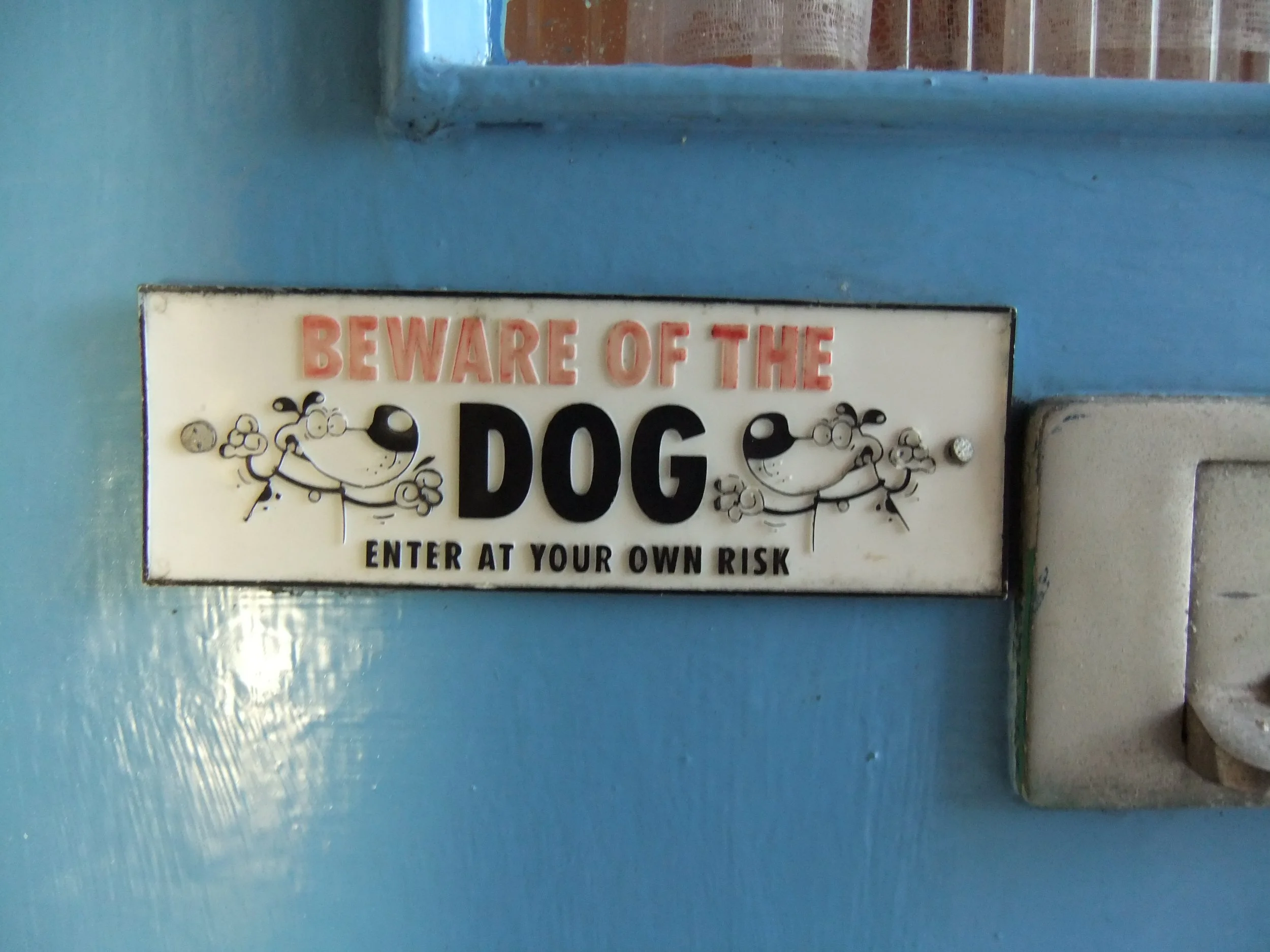 DSCF8659.JPG