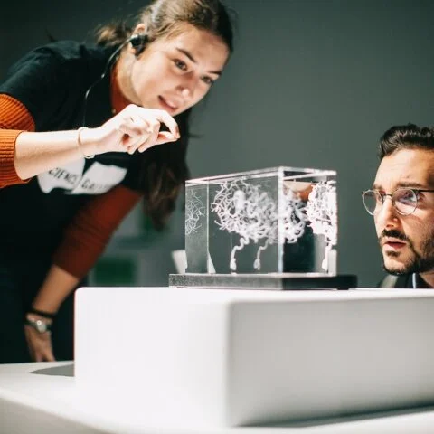 First new pop-up 'Science Gallery Lab' will open in Detroit this autumn