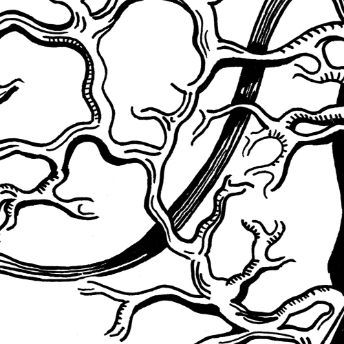 MEET ALEX: YOU, ME, HIM, HER, THEM.