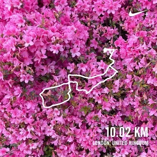 run+1.jpg