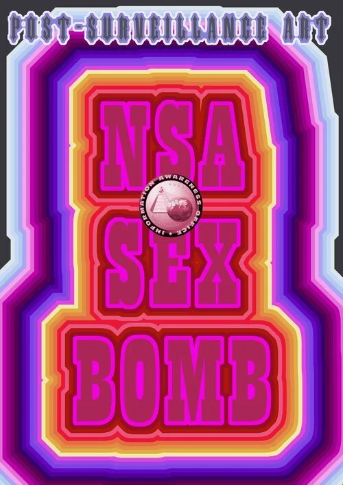 Post-Surveillance Art
