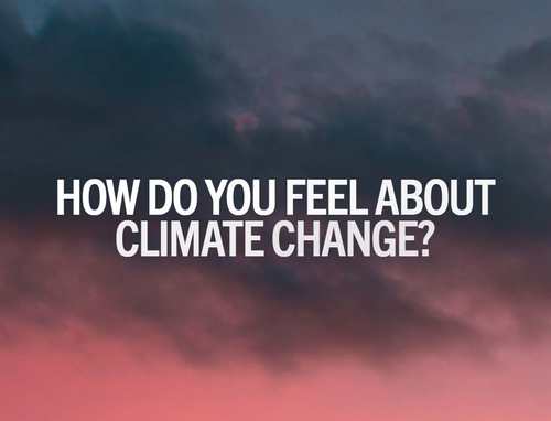 CLIMATE, ANXIETY, ACTION Project