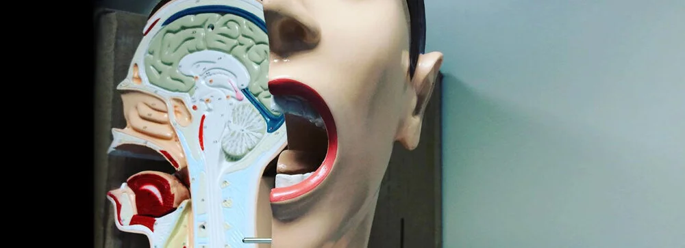 Mouth Noises
