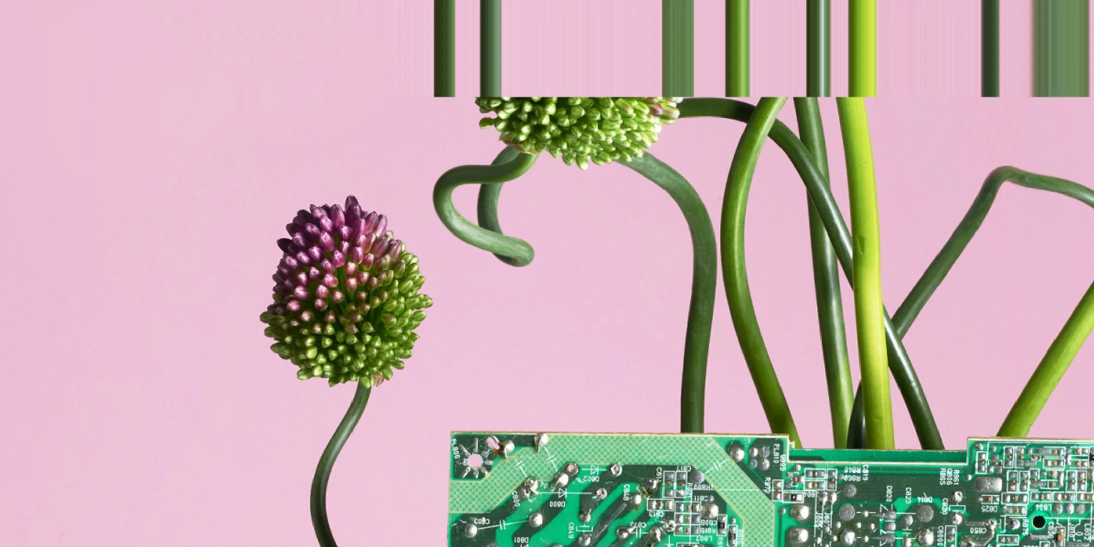 Building Better AI in the Open 