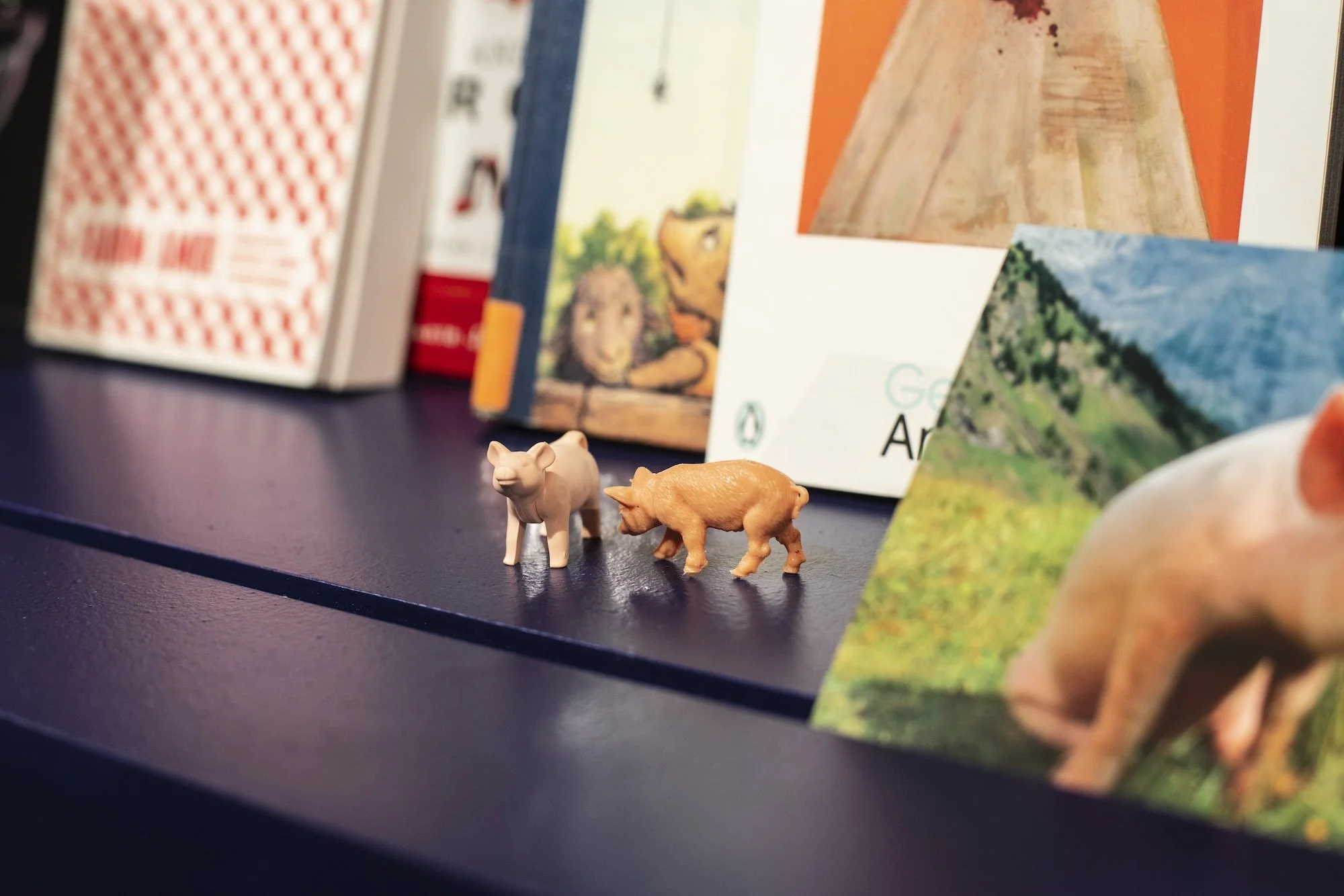re:pig