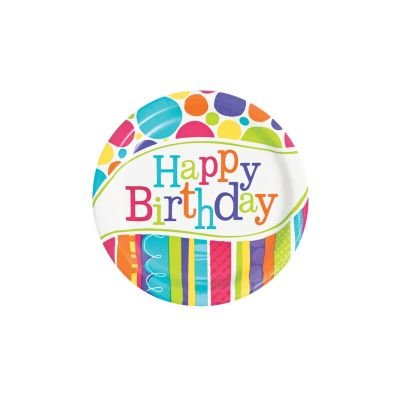 bright-and-bold-happy-birthday-party-paper-dessert-plates-8-ct-_13774022 (1).jpg