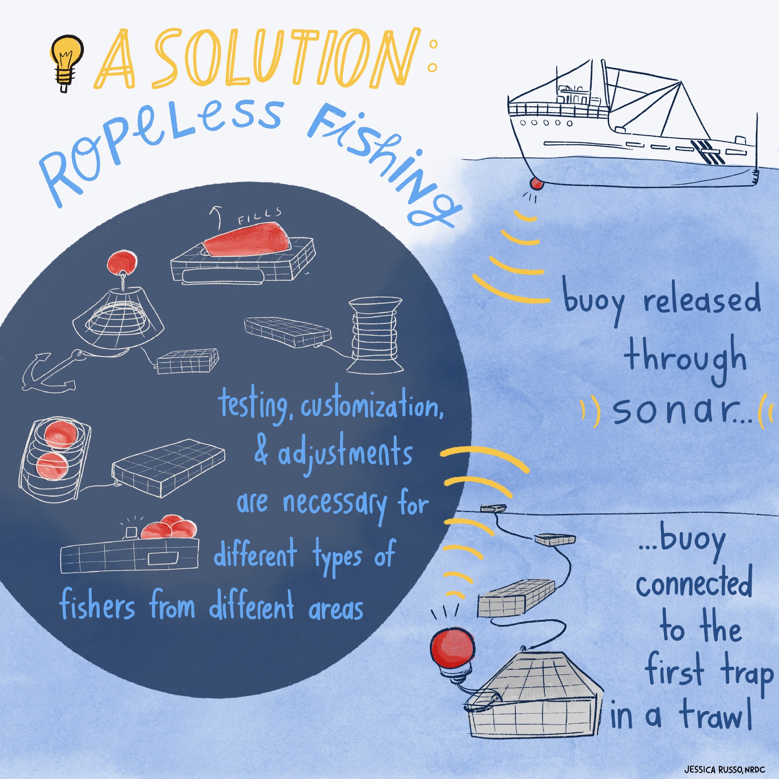 Whale Entanglement Ropeless Fishing Infographic