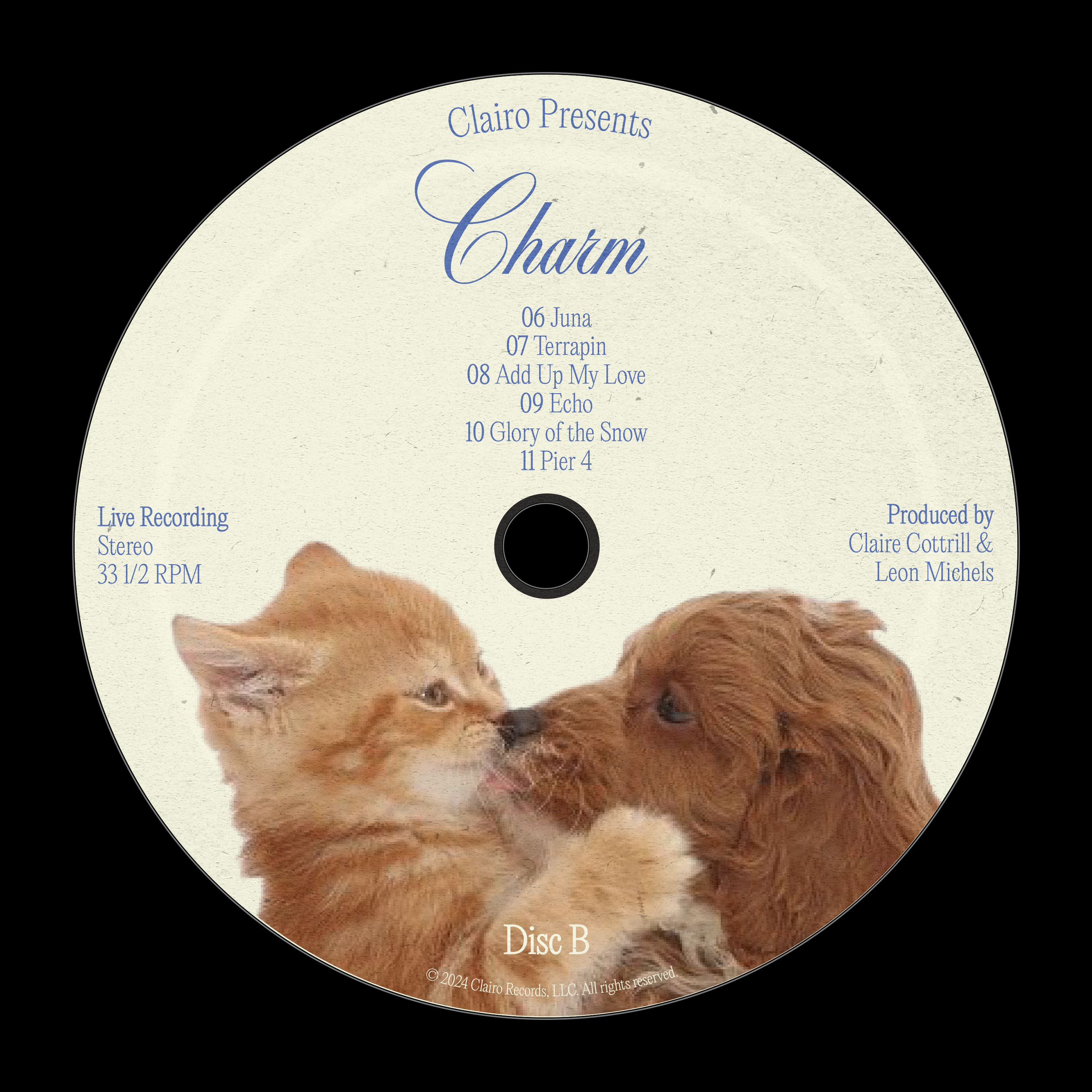 CHARM DISC B.png